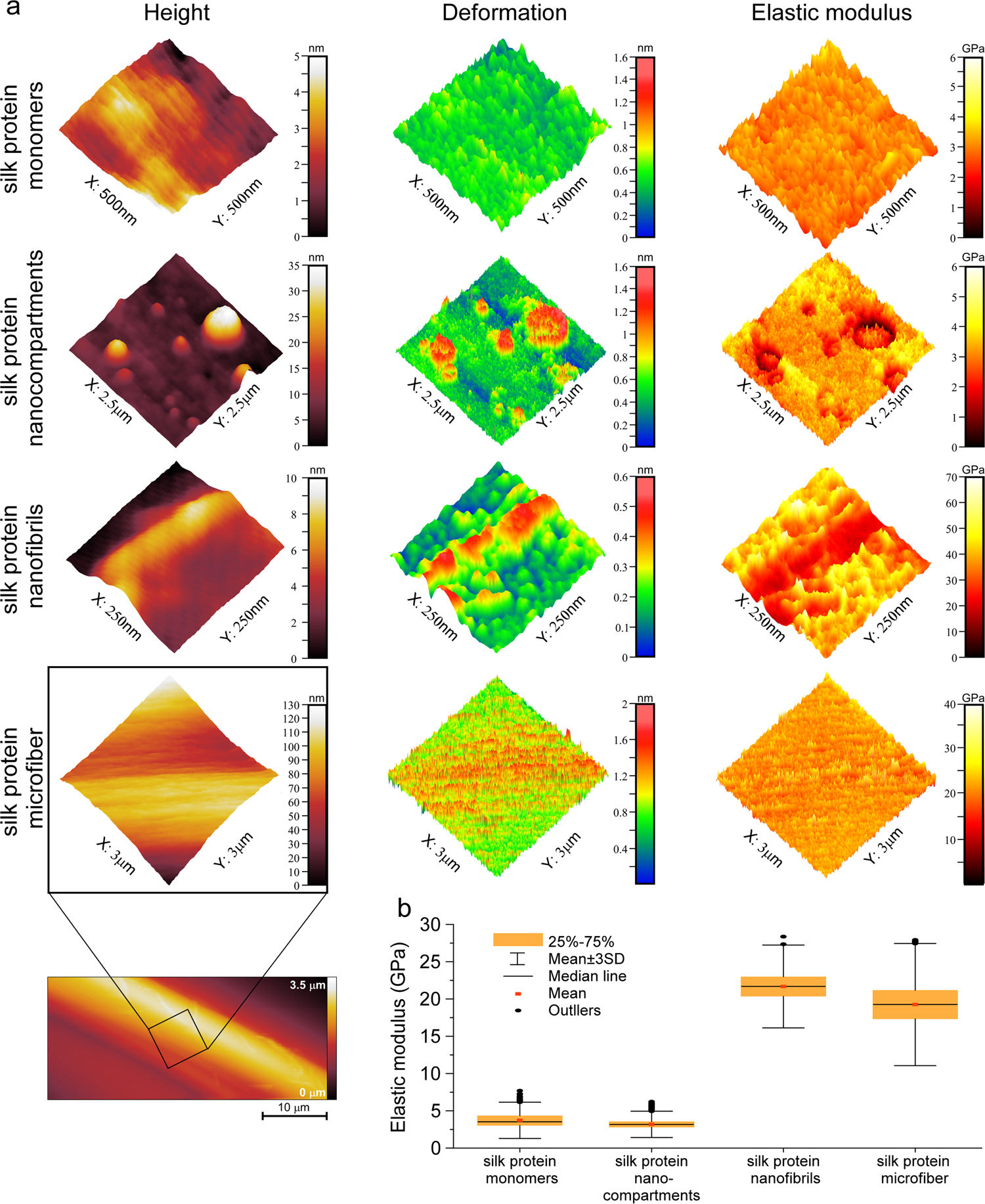 Fig. 5: Nanomechanical analysis of silk fibroin assembly states.
