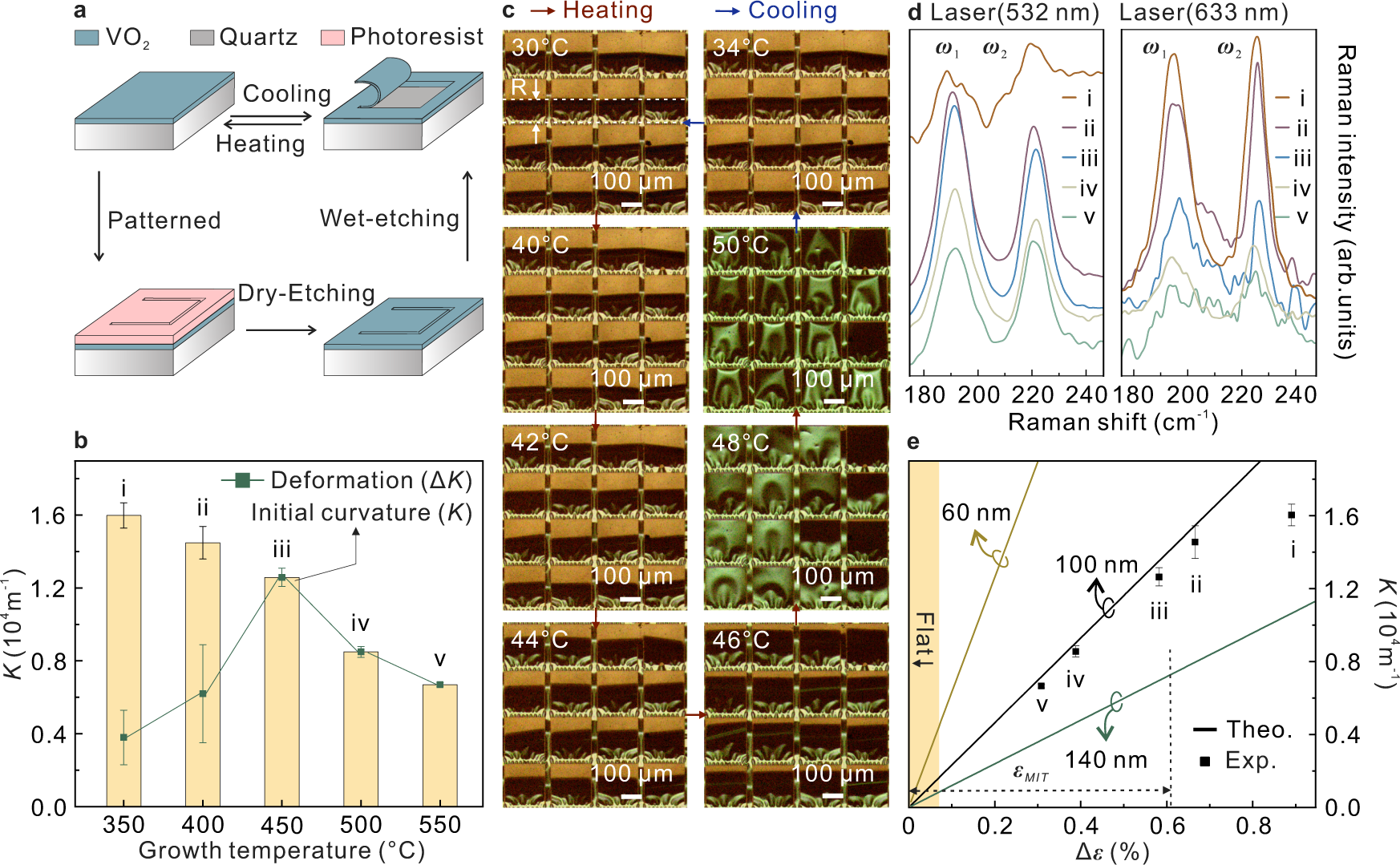 Fig. 3: Strain and deformation of rolled-up SW.
