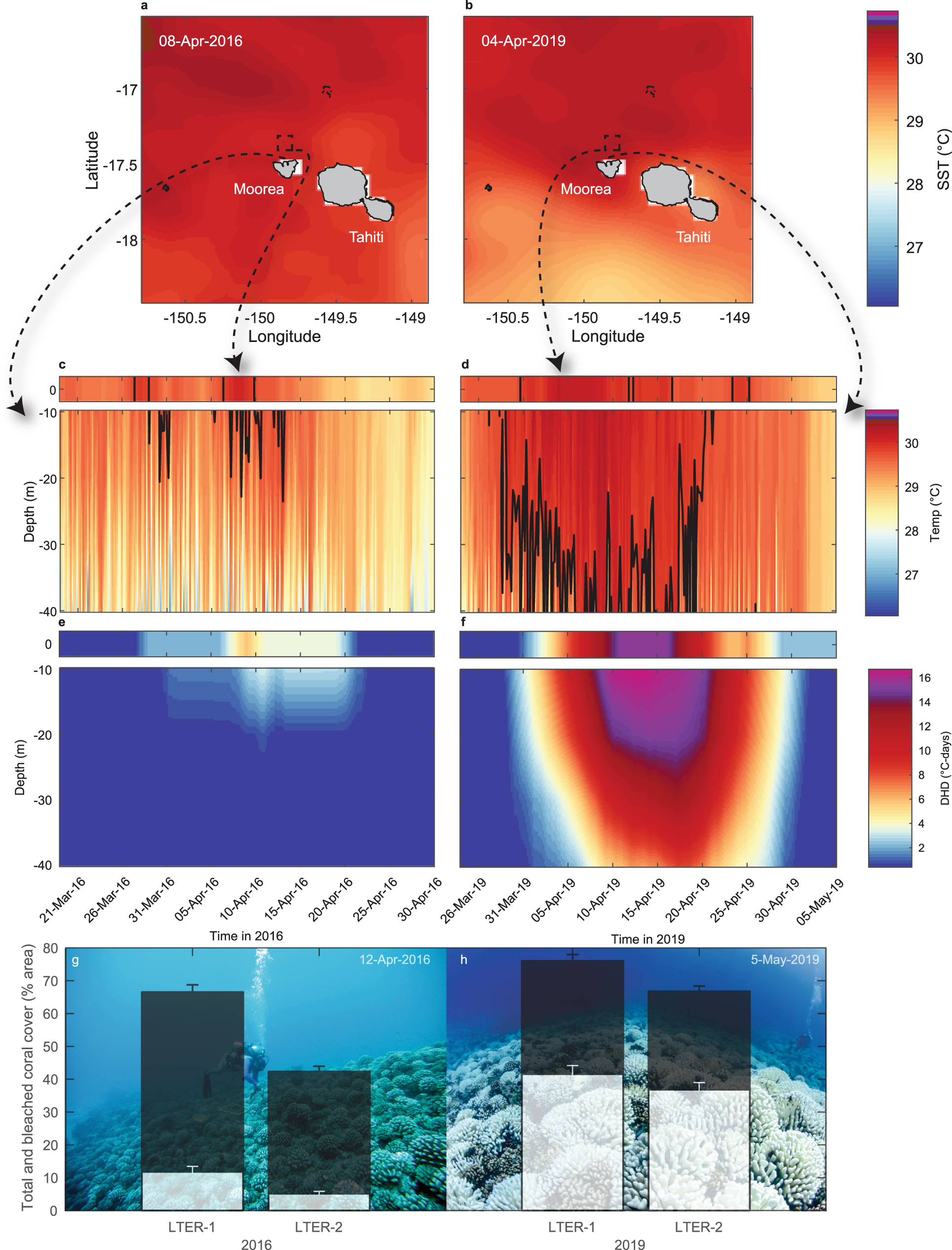Hidden heatwaves and severe coral bleaching linked to mesoscale eddies and  thermocline dynamics | Nature Communications