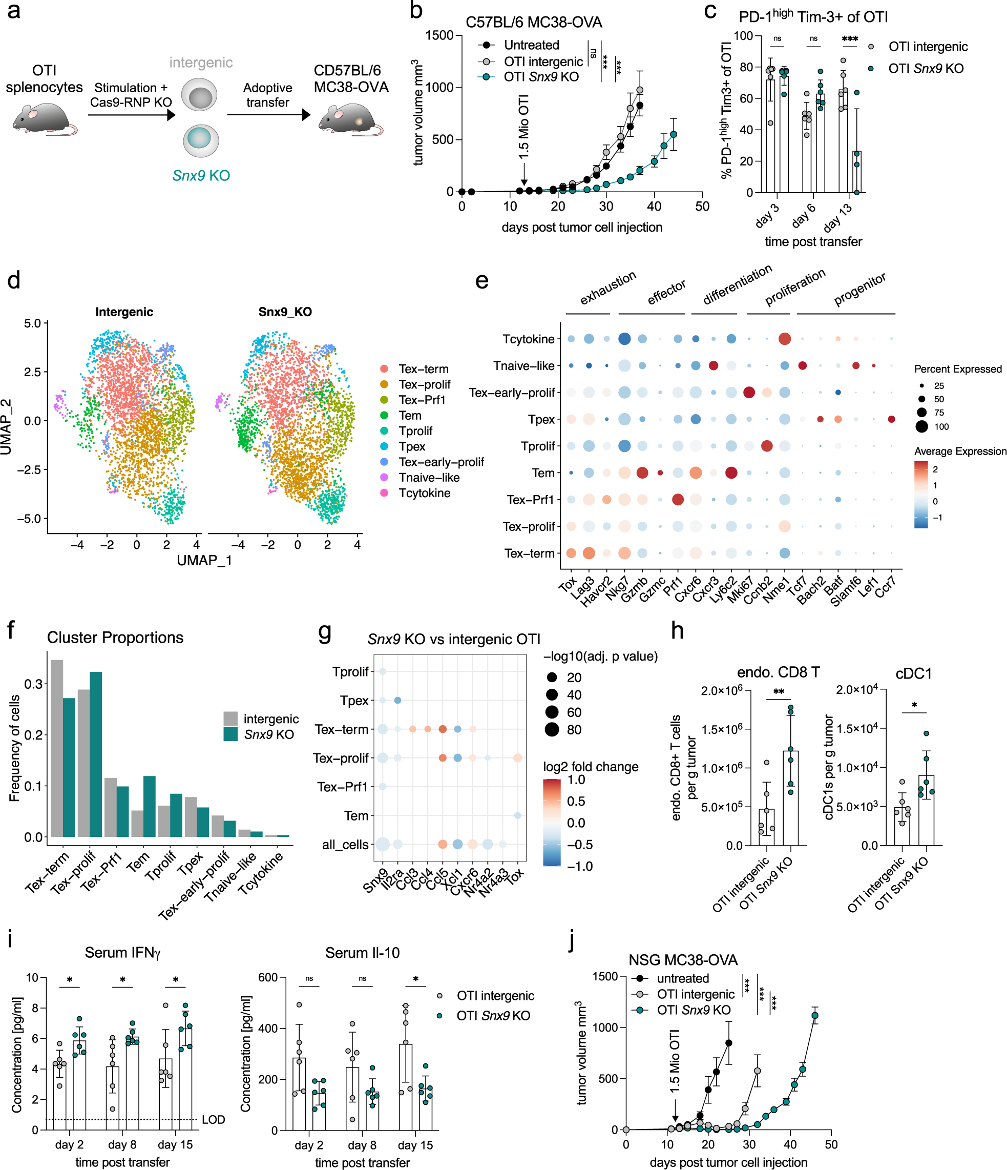 Fig. 4: Snx9 KO improves anti-tumor efficacy and reduces terminal exhaustion in vivo.