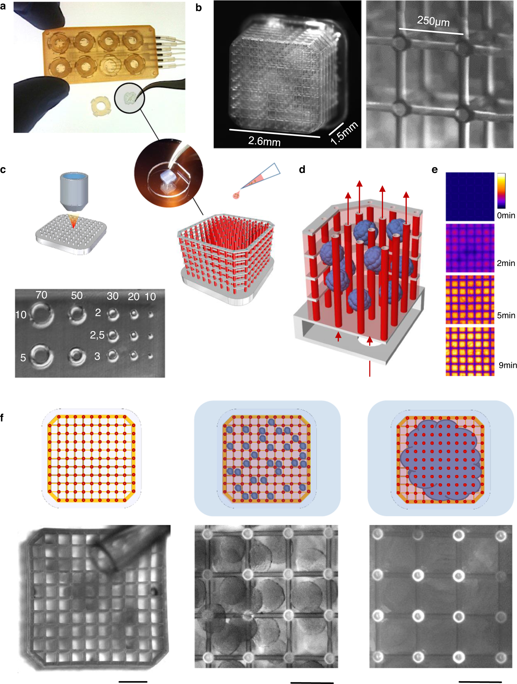 Large-scale perfused tissues via synthetic 3D soft microfluidics