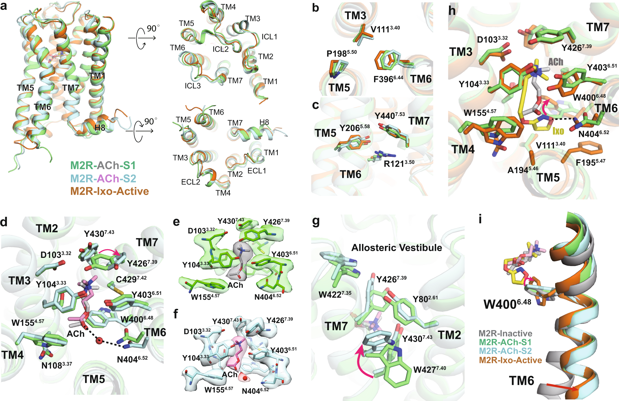 Fig. 3: Comparison of M2R structures and othosteric pocket.