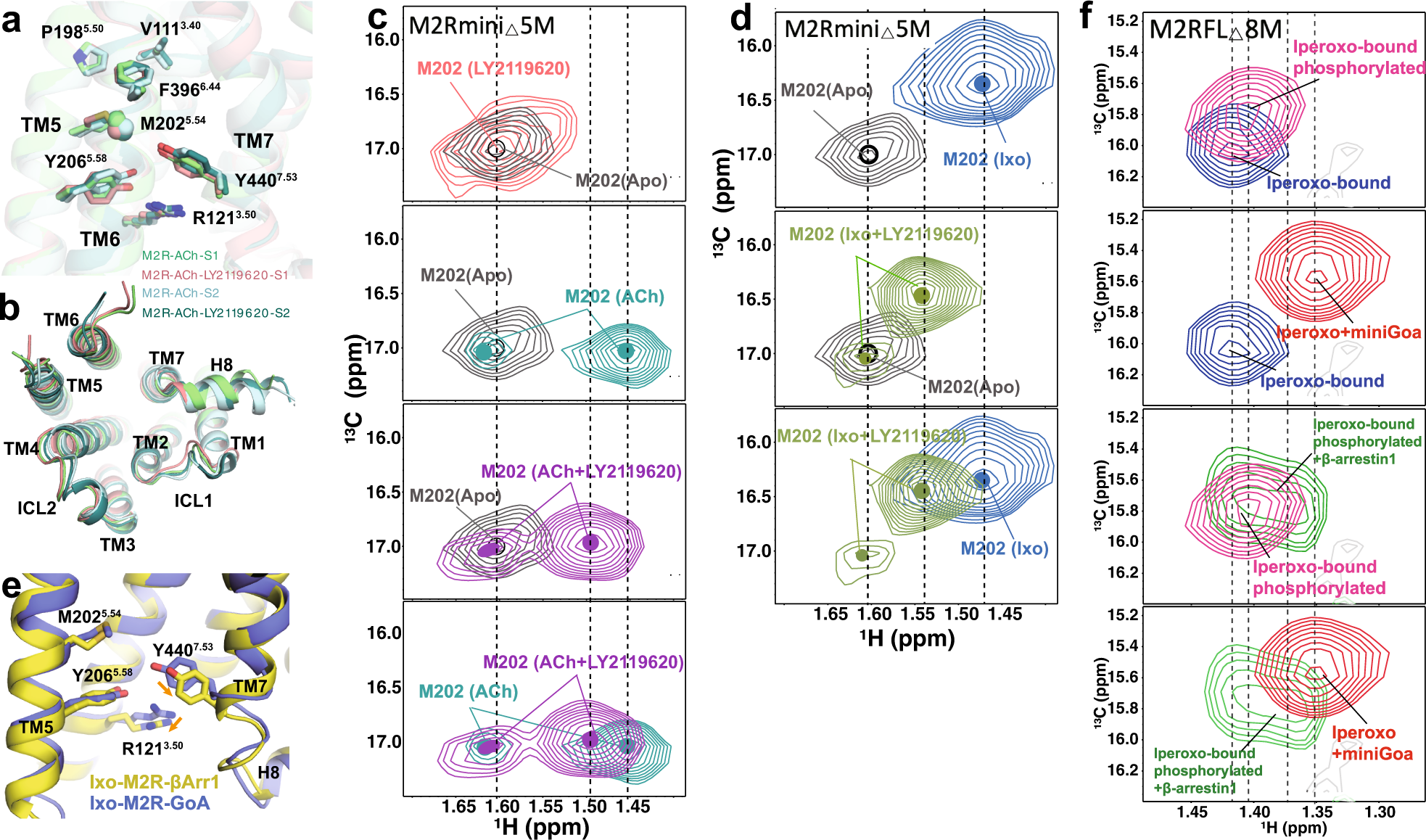 Fig. 7: Effects of LY2119620 on the M2R intracellular conformational changes.