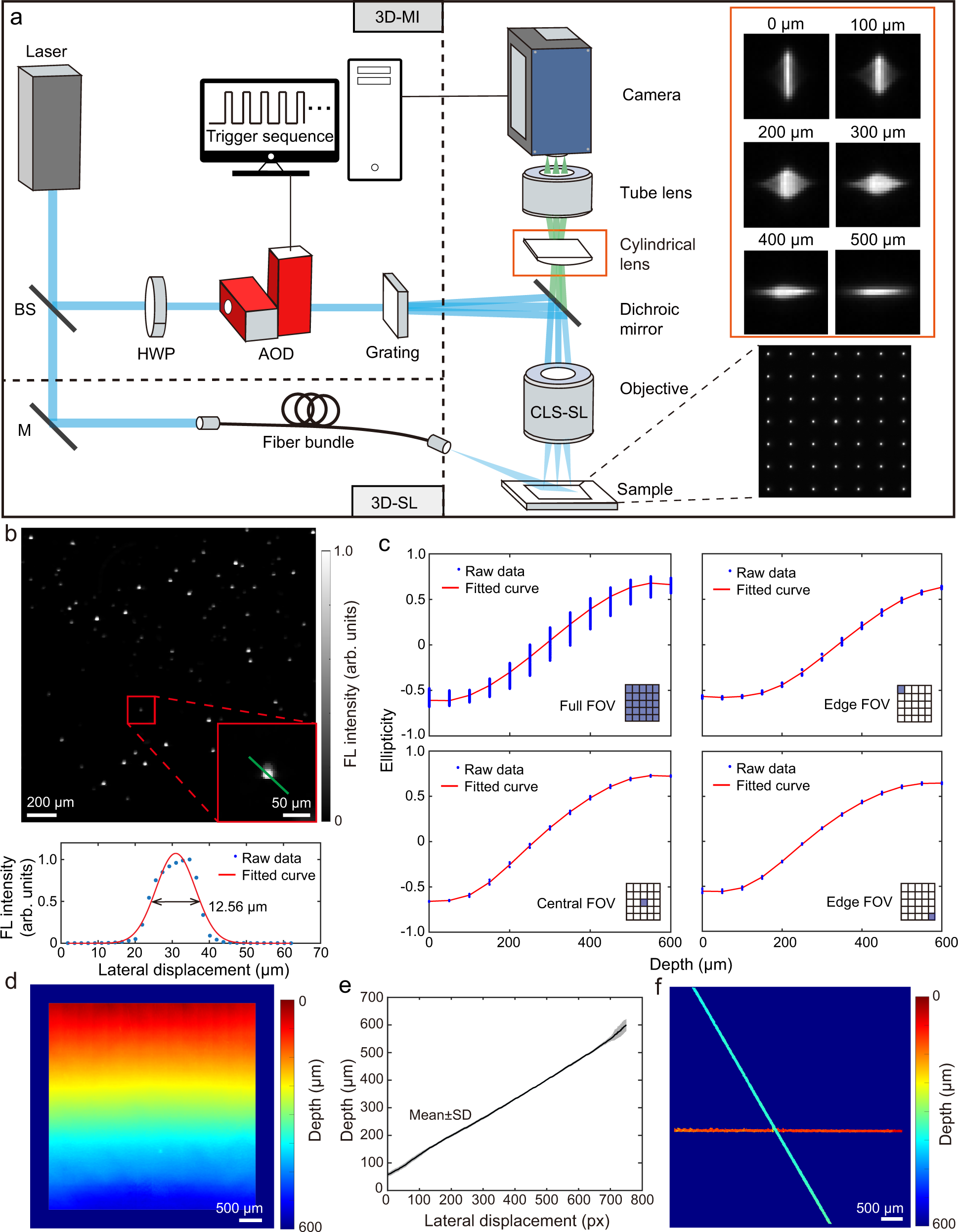 Three-dimensional wide-field fluorescence microscopy for transcranial  mapping of cortical microcirculation | Nature Communications