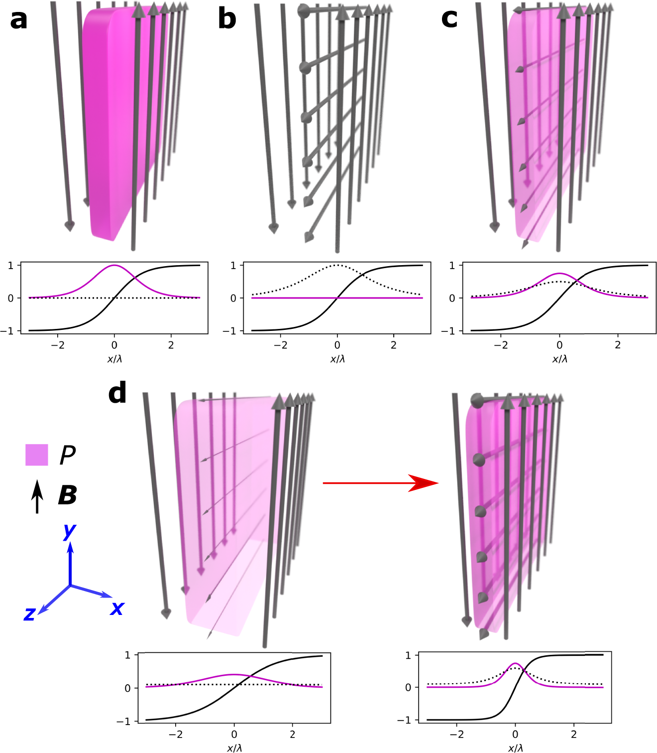 Equilibrium selection via current sheet relaxation and guide field  amplification | Nature Communications