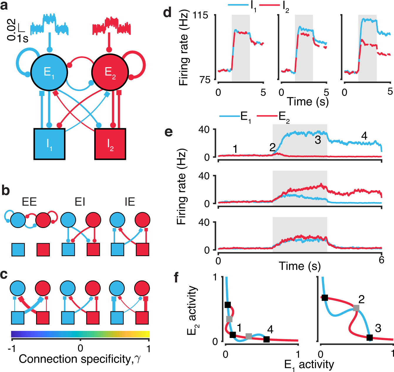 Choice selective inhibition drives and in decision circuits | Nature