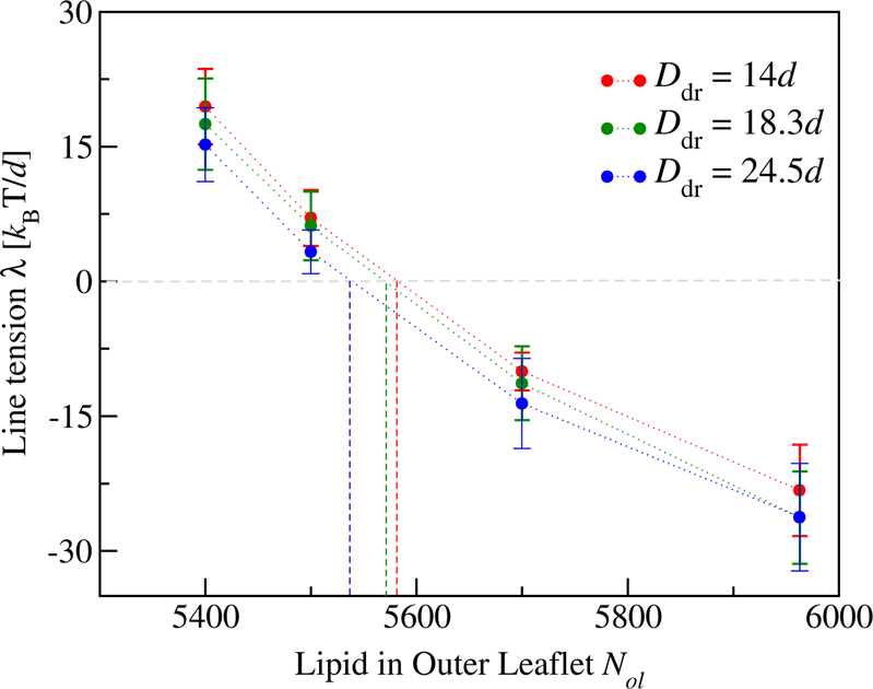 Fig. 7: Line tension λ of contact line between droplet and vesicle membrane as a function of lipid number Nol for three different droplet sizes Ddr, calculated via the force balance relationship in Eq. (12).