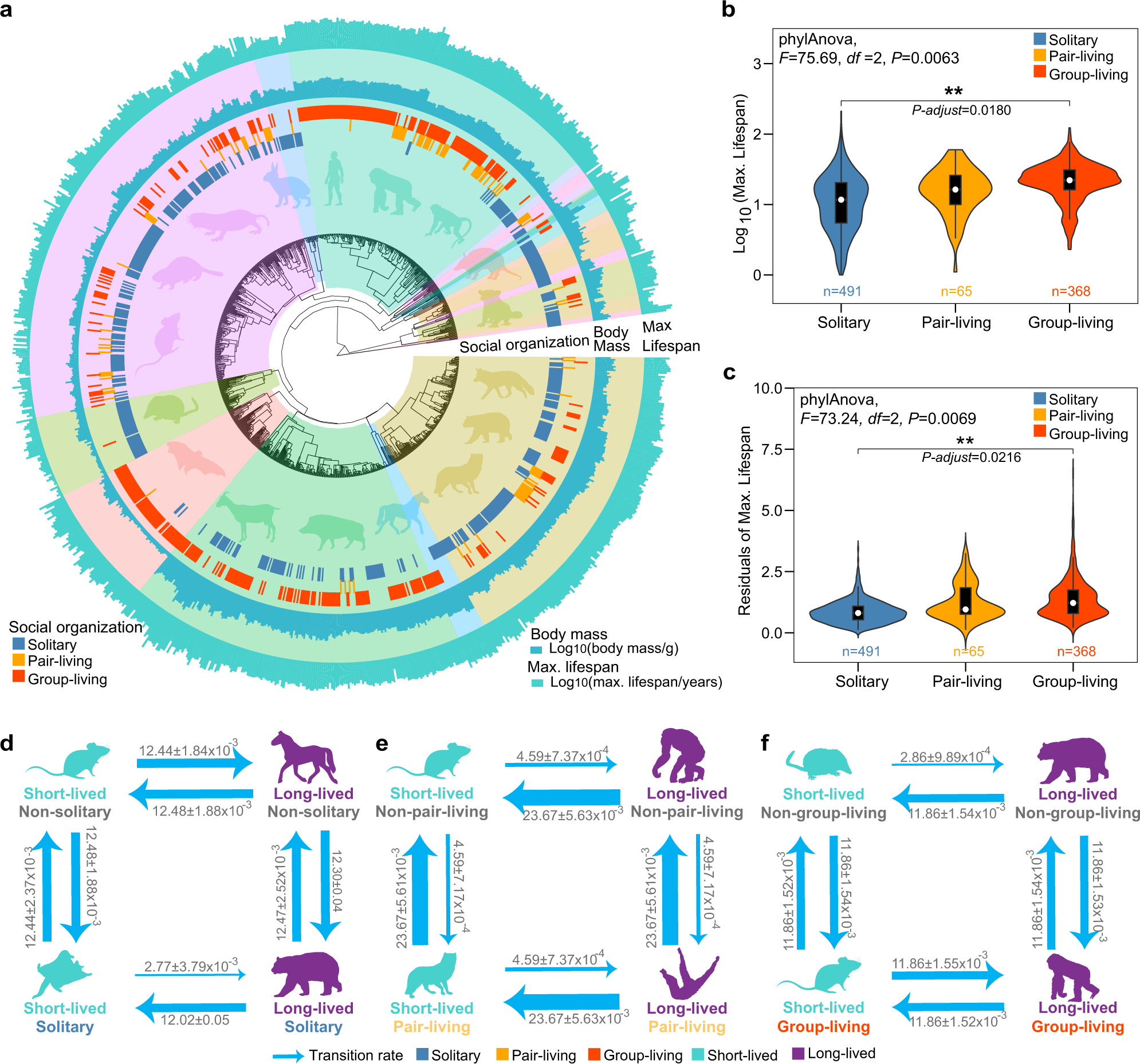 Correlated evolution of social organization and lifespan in mammals |  Nature Communications