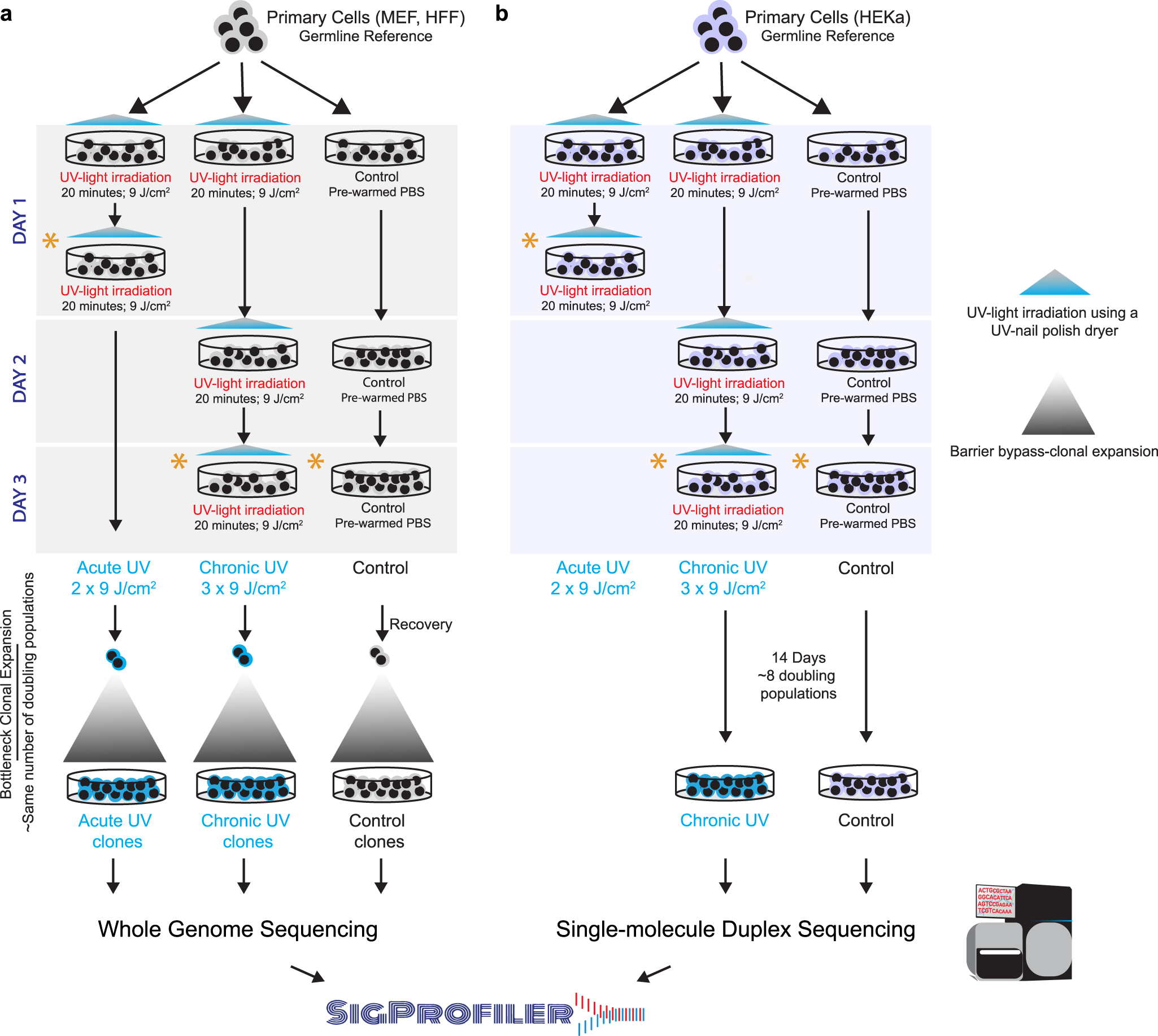 Environmental influence on blood serum detection using ultraviolet 365