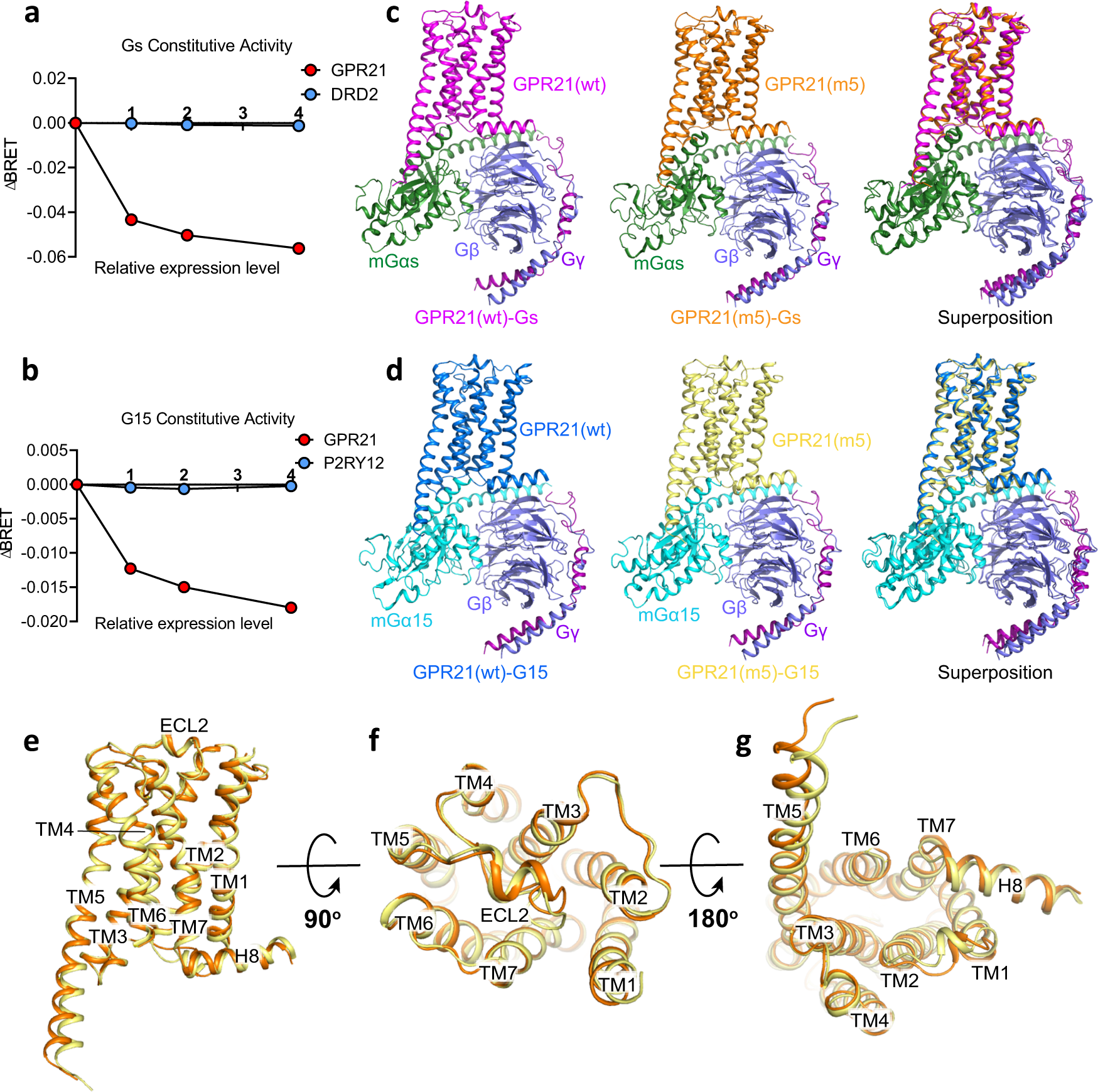 Cryo-EM structures of orphan GPR21 signaling complexes | Nature  Communications