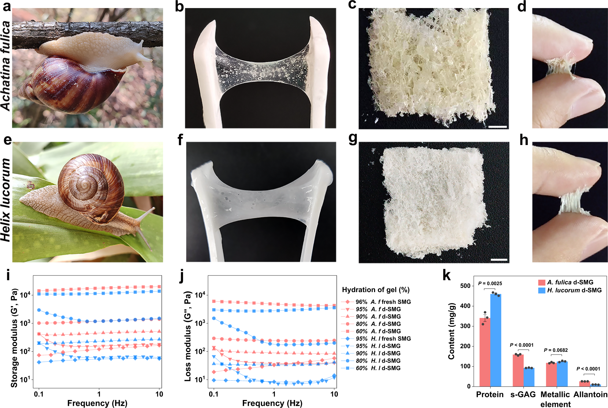 A natural biological adhesive from snail mucus for wound repair | Nature  Communications