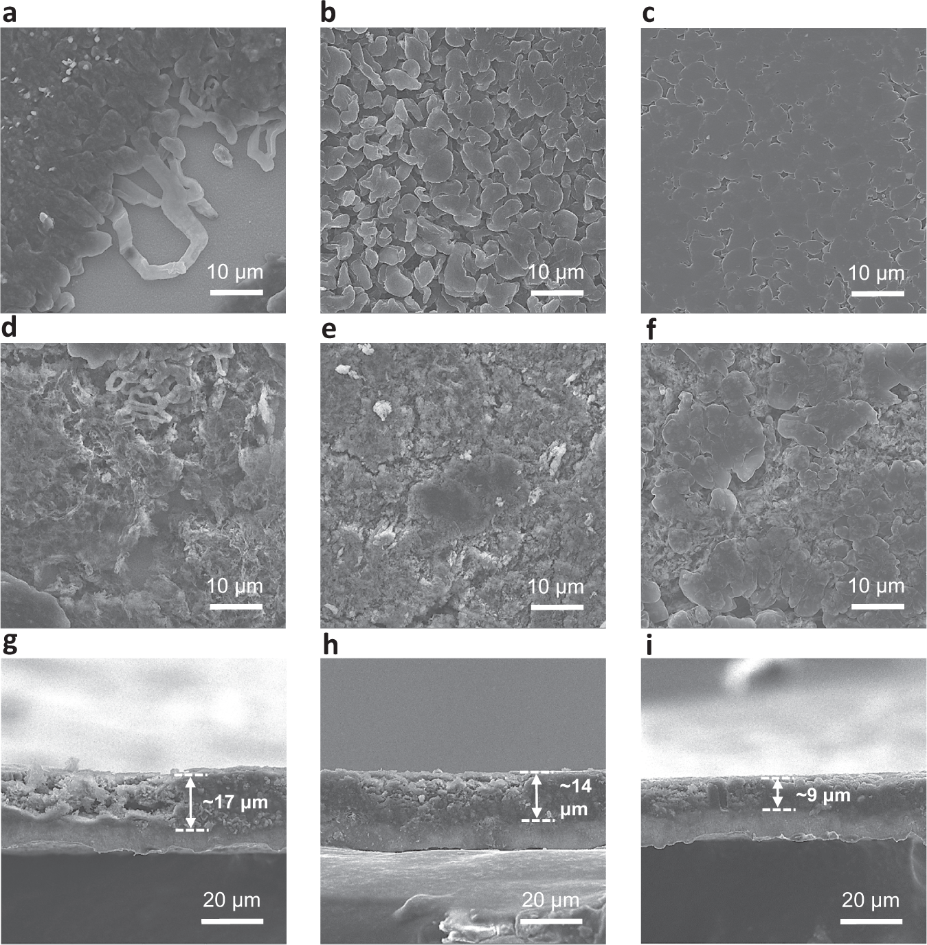 Fig. 2: Ex situ postmortem microscopy measurements of electrodes cycled in Li||Cu cell configuration.