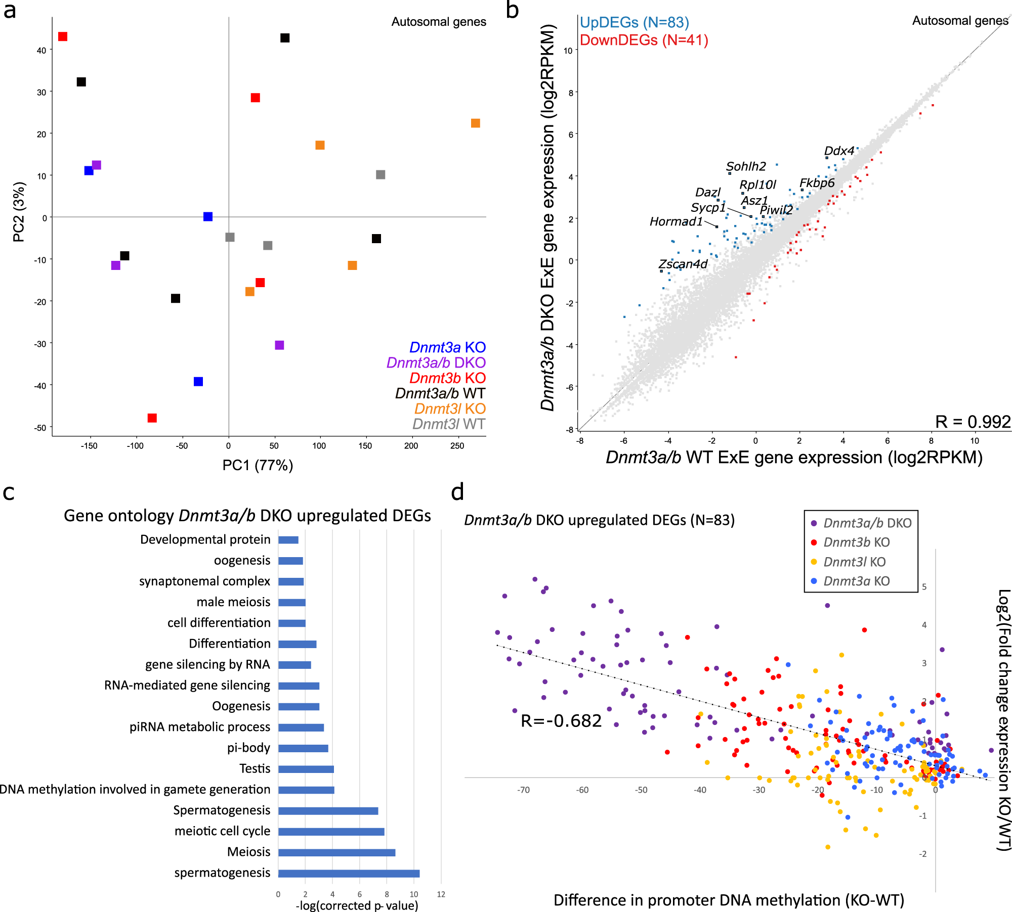 Fig. 3: Loss of DNA methylation in ExE results in de-repression of germline genes.