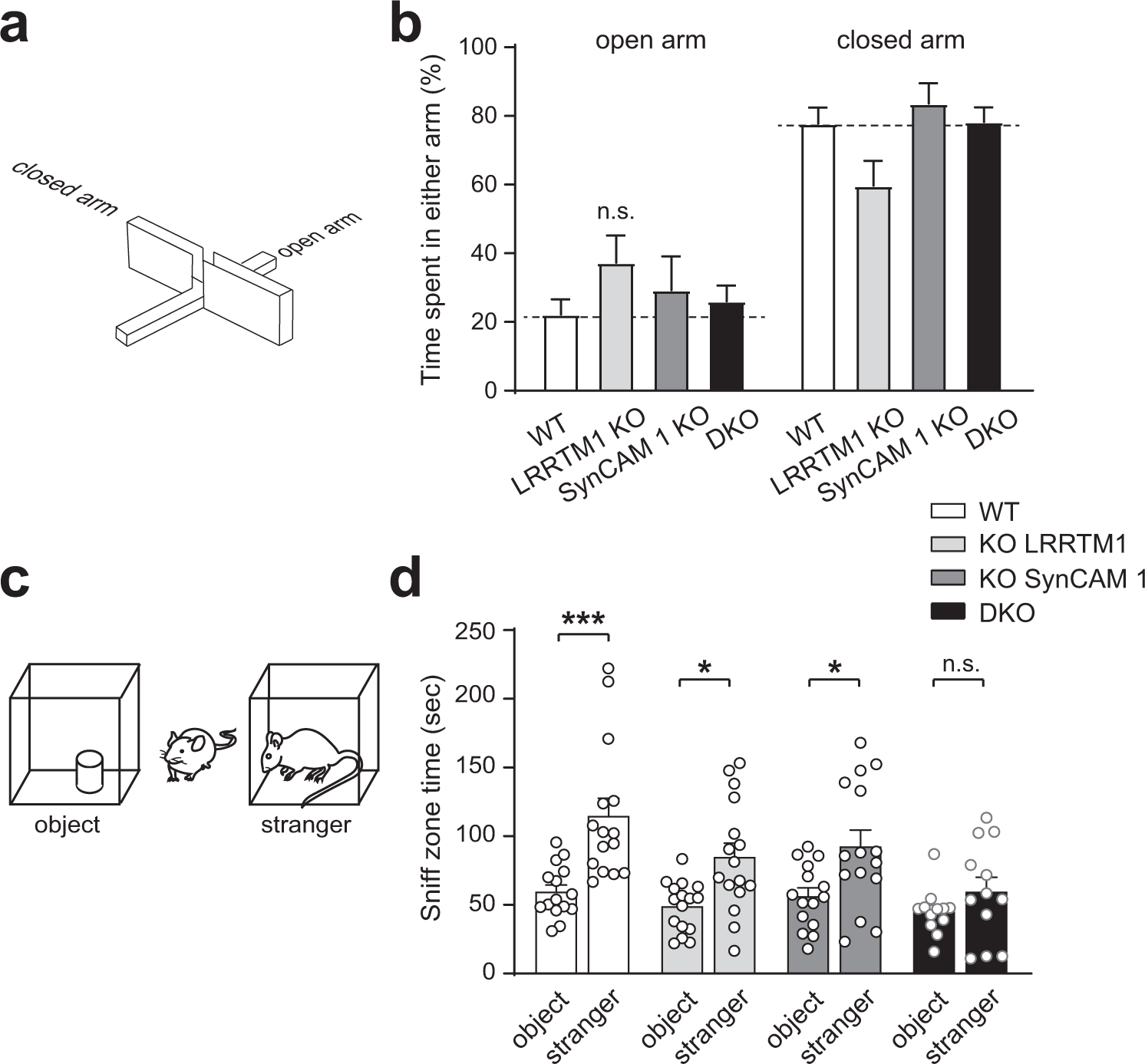 Fig. 6: No evidence for changes in anxiety but impaired social interactions upon combined deletion of LRRTM1 and SynCAM 1.