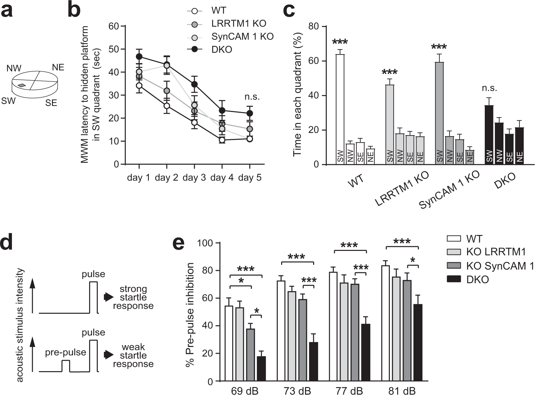 Fig. 7: Combined loss of LRRTM1 and SynCAM 1 impairs cognition-relevant behaviors.
