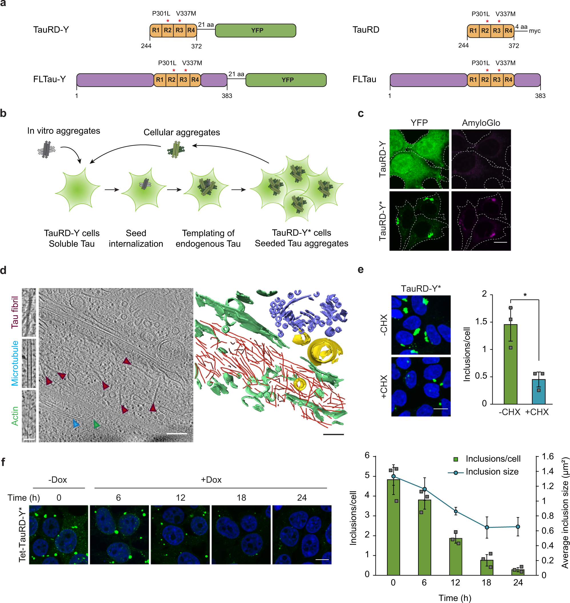 The AAA+ chaperone VCP disaggregates Tau fibrils and generates aggregate seeds in a cellular system Nature Communications