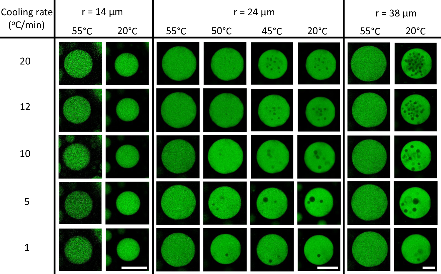 Fig. 2: Formation of trapped droplets depends on cooling rate and condensate size.