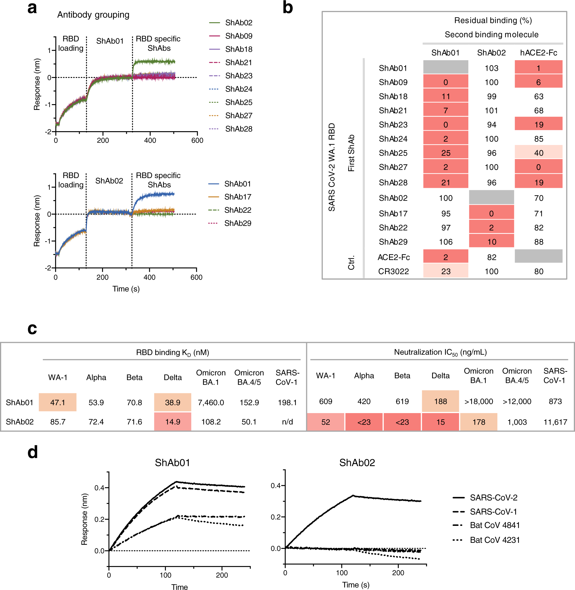 Fig. 2: Antigenic characterization of the ShAb molecules.