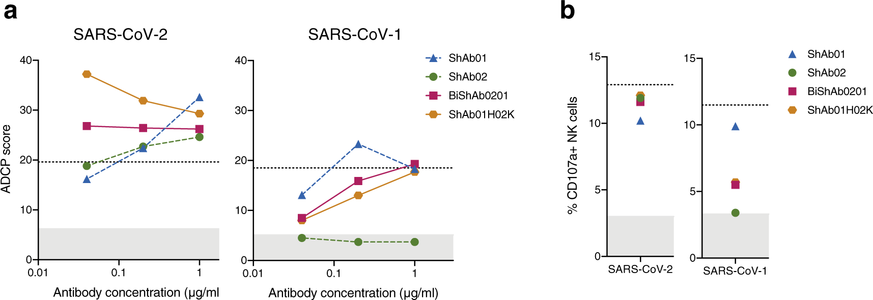 Fig. 7: Fc-mediated effector functions by ShAb molecules.