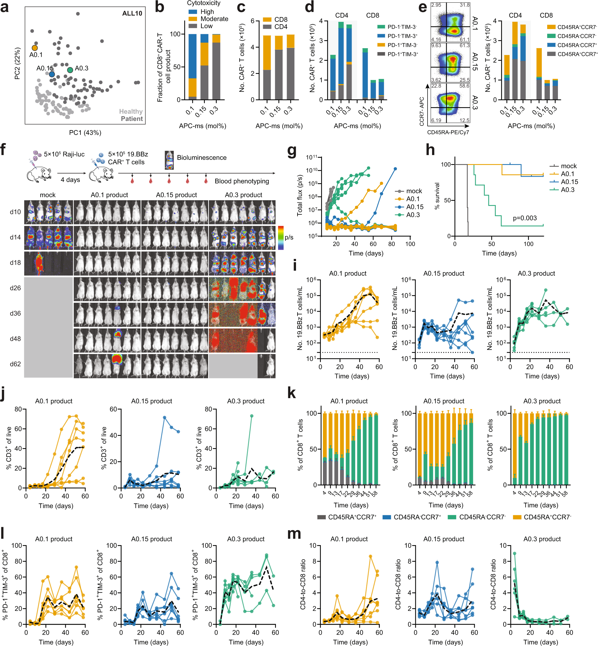 Fig. 3: Stimulation dose during T-cell activation tunes CAR-T cell responsiveness in a xenograft lymphoma model.