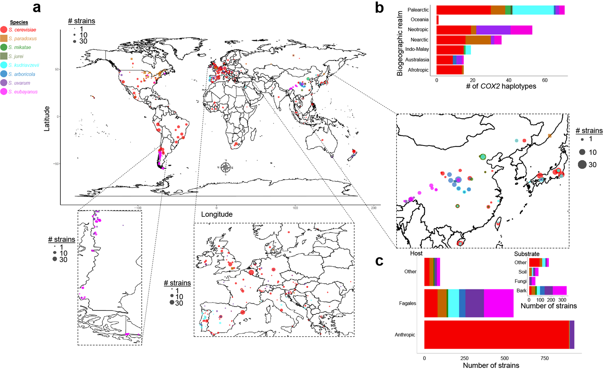 Fig. 1: Geographic distribution of Saccharomyces strains.