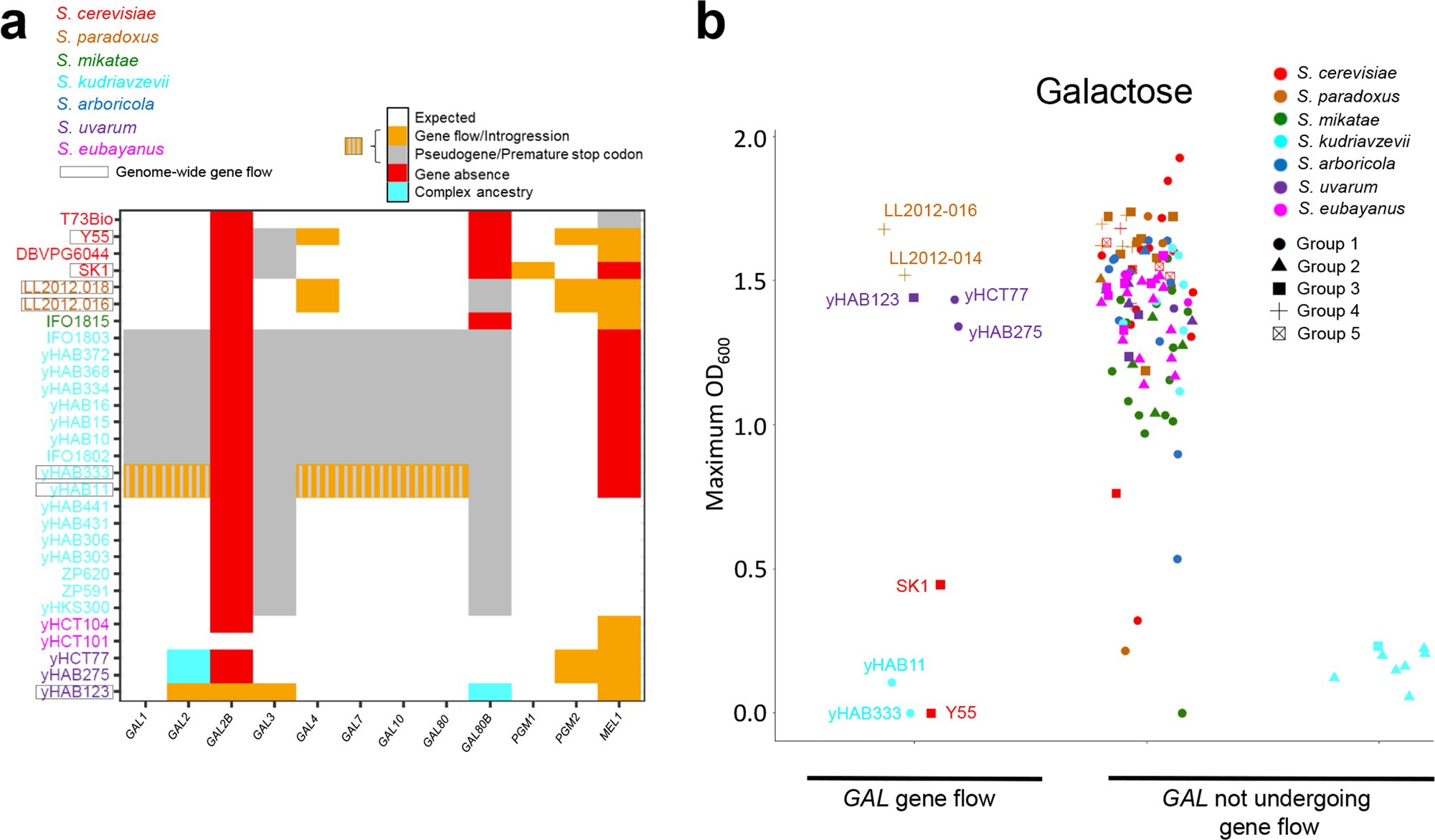Fig. 6: Phenotypic diversity and complex ancestries.