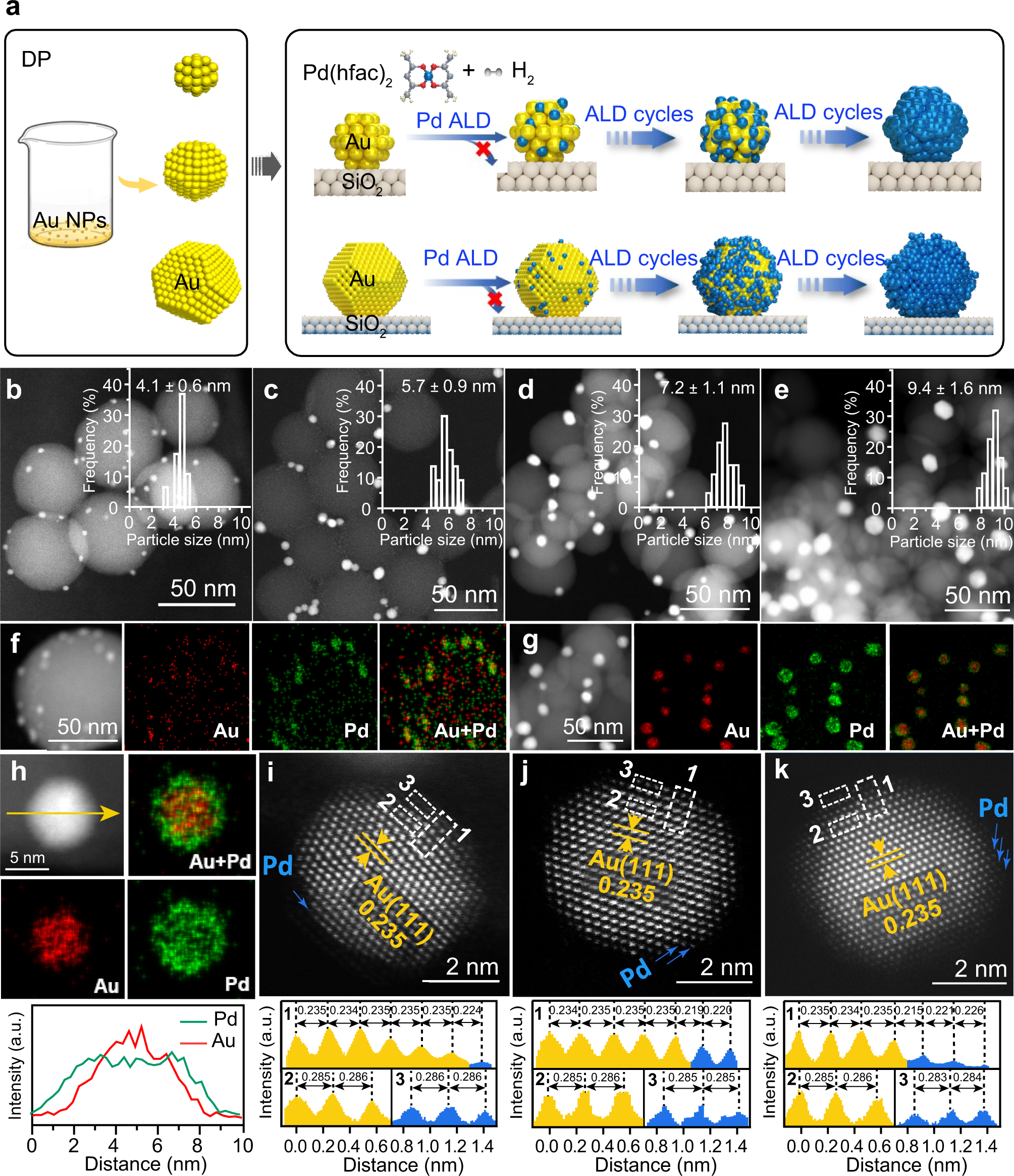 Fig. 2: Synthetic illustration and morphology of Au@Pd core-shell catalysts.