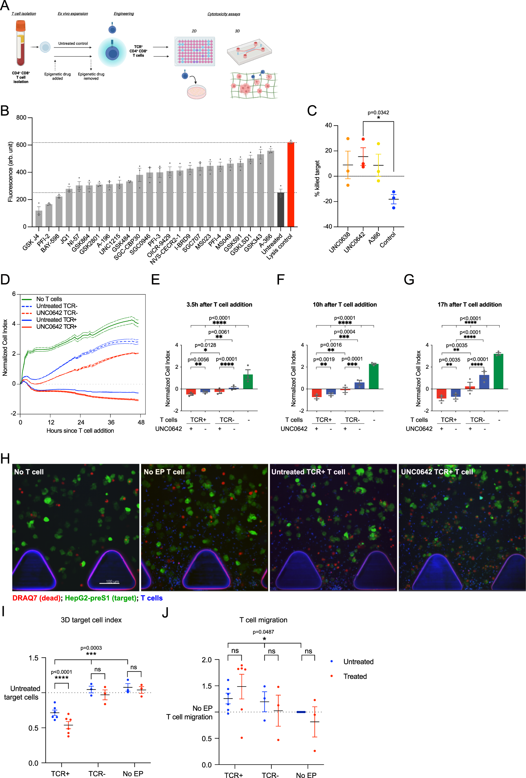G9a/GLP inhibition during ex vivo lymphocyte expansion increases in vivo  cytotoxicity of engineered T cells against hepatocellular carcinoma |  Nature Communications