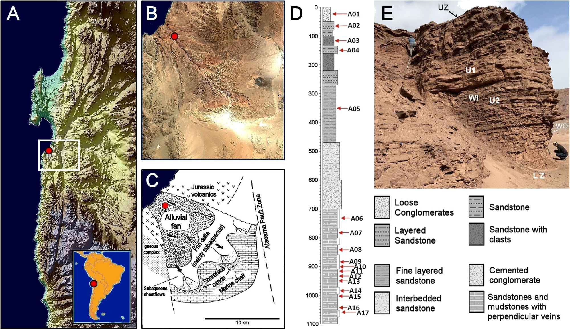 Dark microbiome and extremely low organics in Atacama fossil delta unveil  Mars life detection limits | Nature Communications