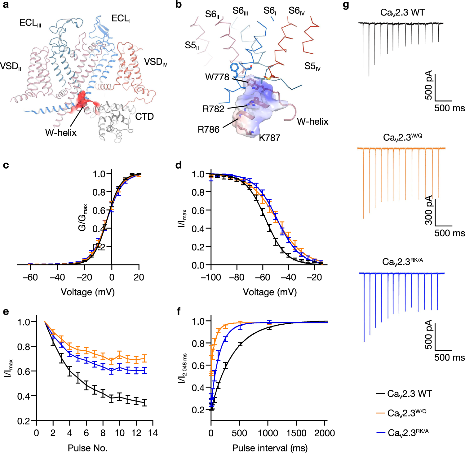 Fig. 3: Closed-state inactivation mediated by W-helix.
