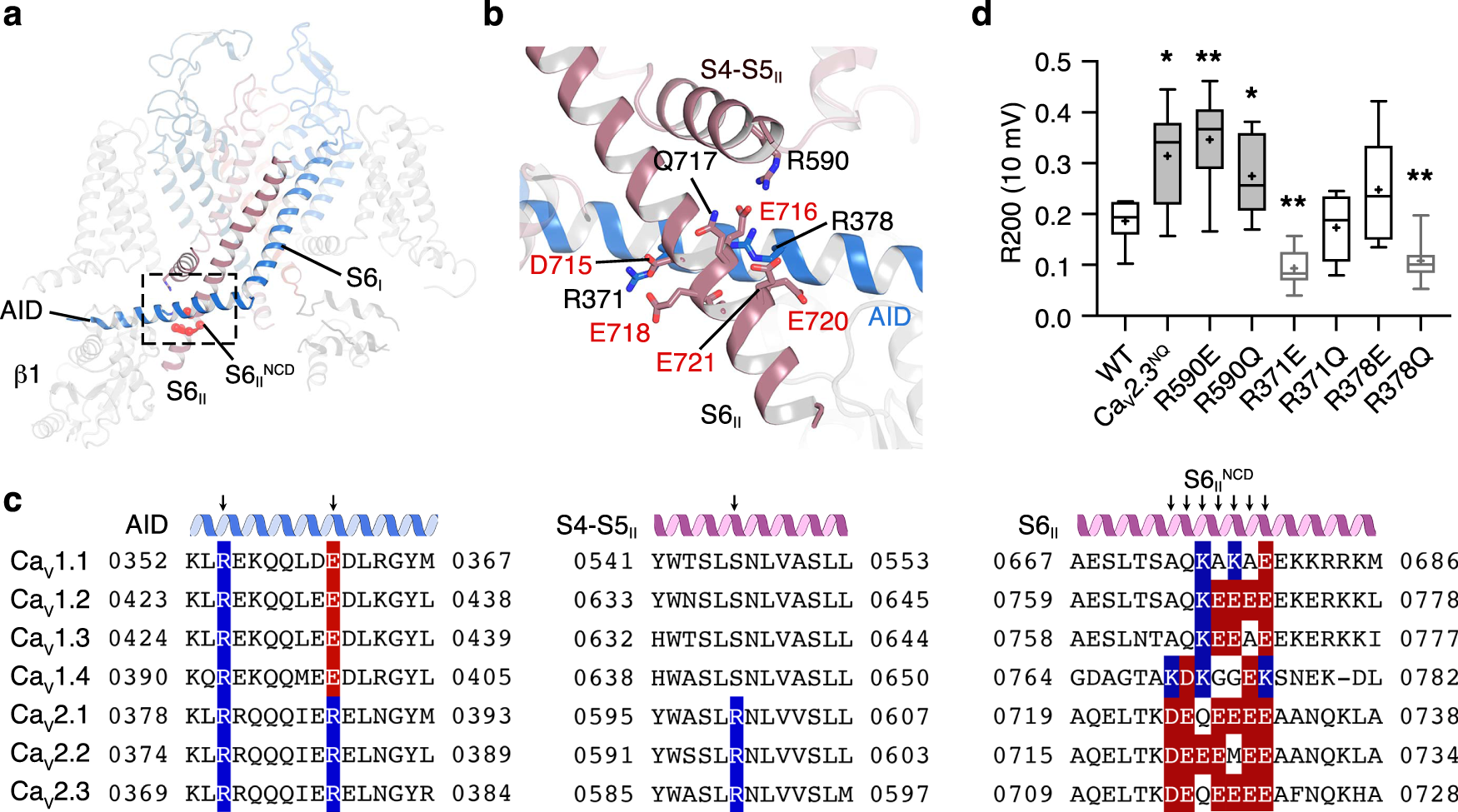 Fig. 5: Modulation of open-state inactivation.