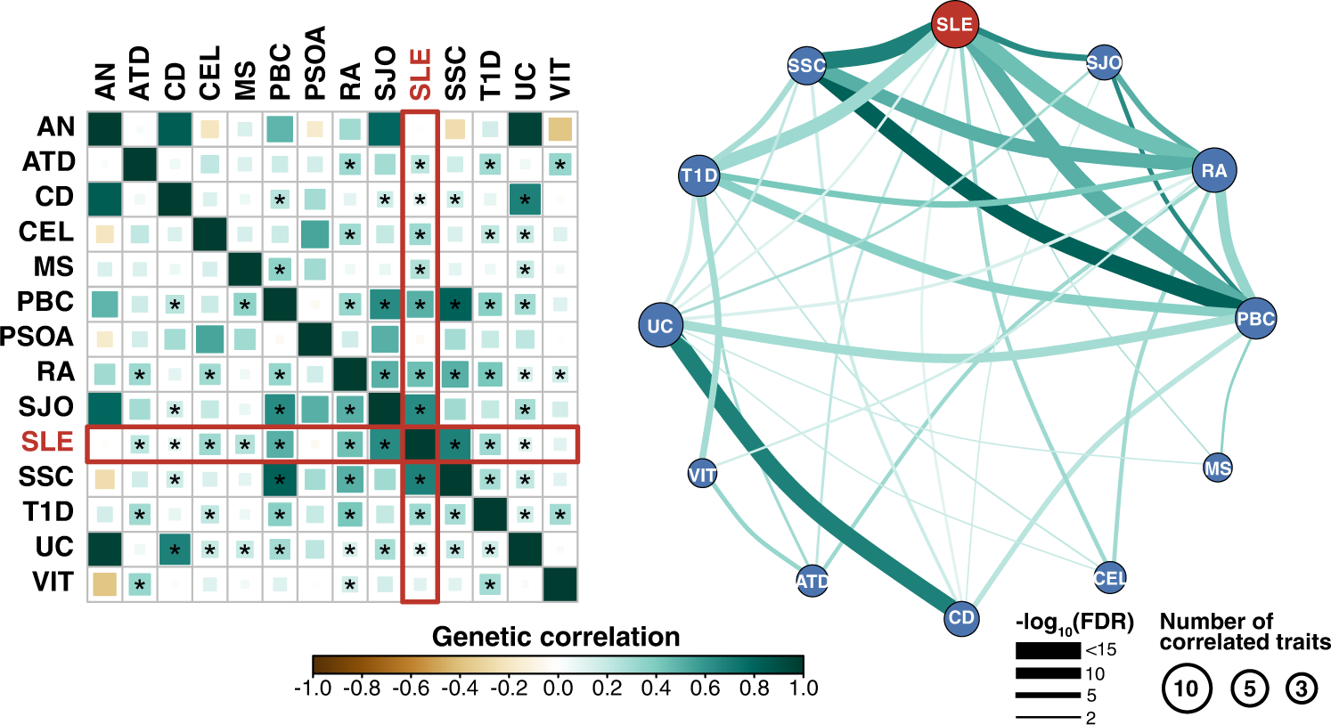 Fig. 1: Genetic correlations across 14 autoimmune diseases in European ancestry.