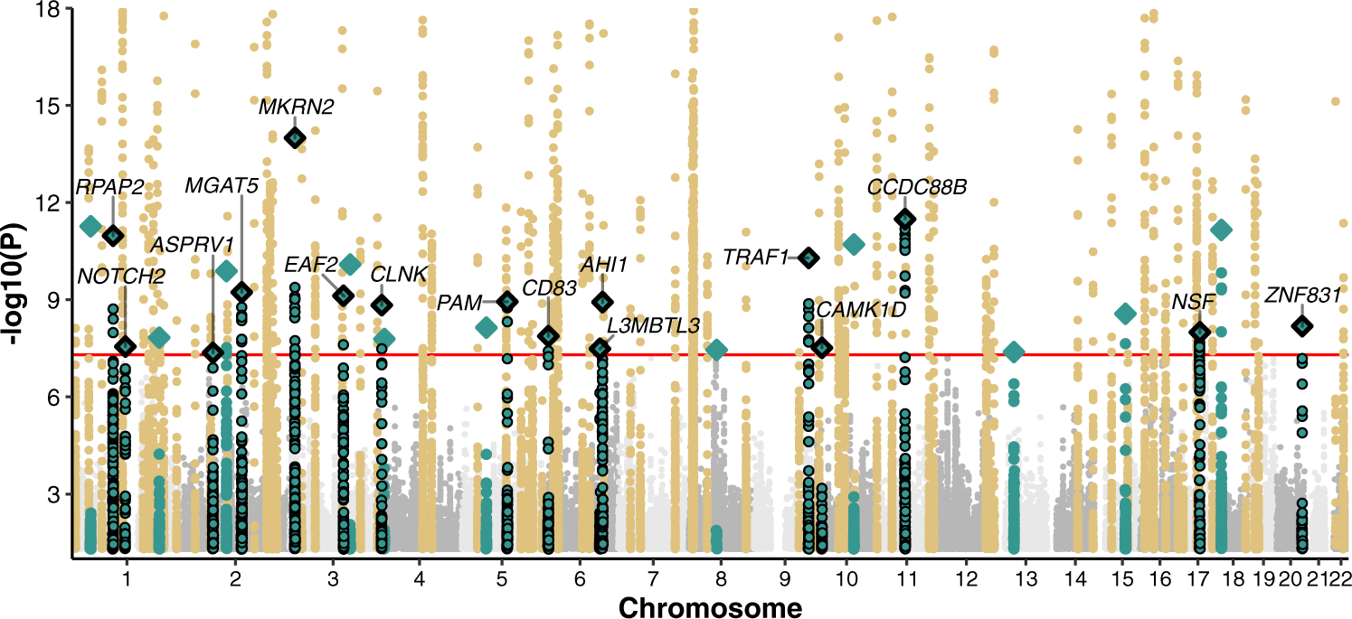 Fig. 2: Manhattan plot of the multi-ancestry and multi-trait SLE GWAS meta-analysis.