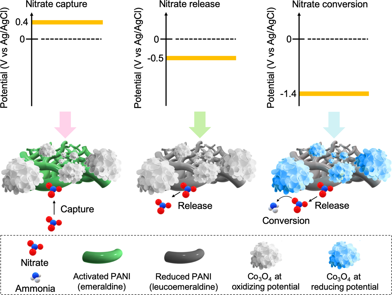 Fig. 2: Schematic illustration of bifunctional PANI-Co3O4/CNT electrode.