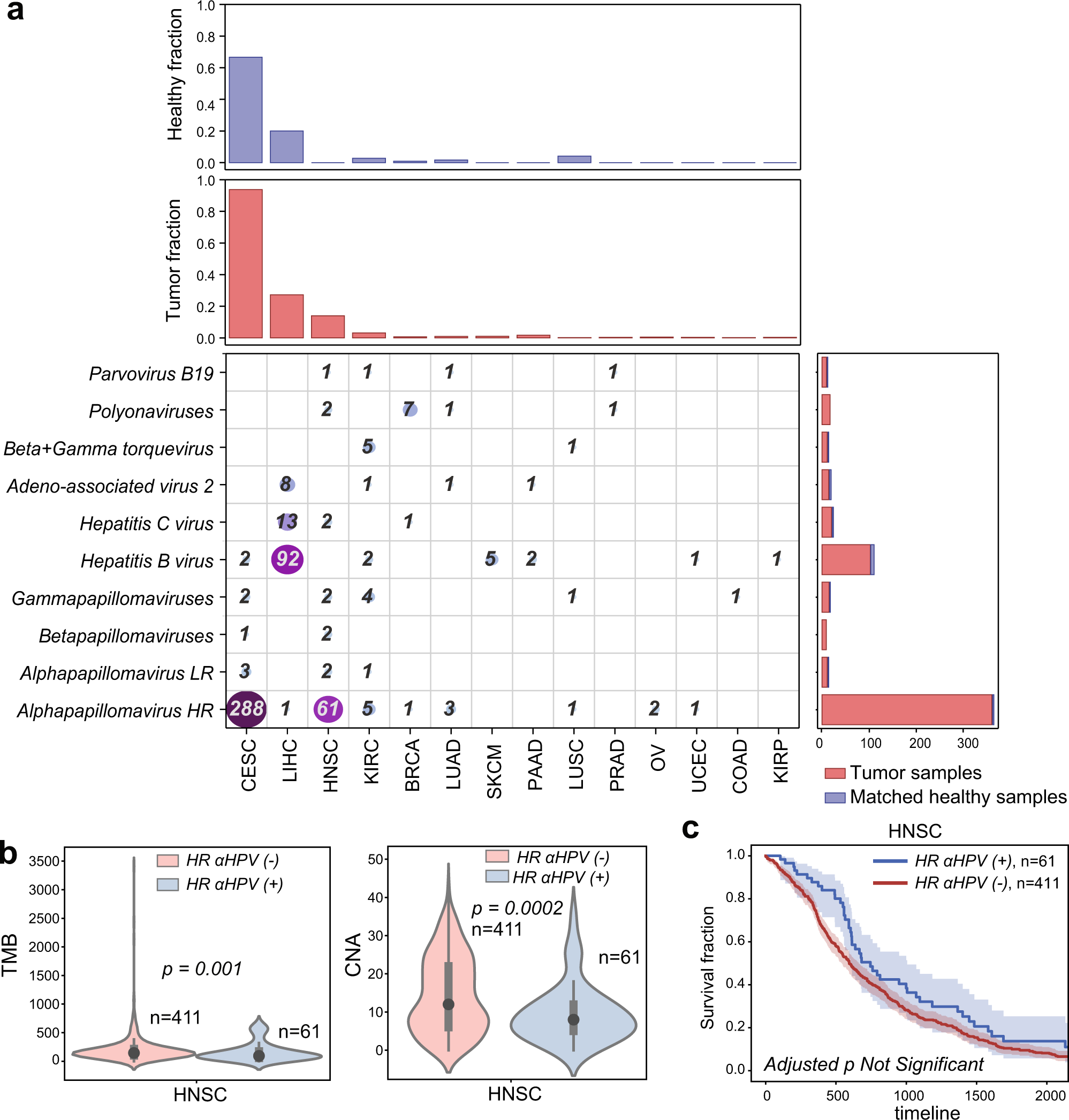 Fig. 2: Reference human viruses expressed in different tumor types.