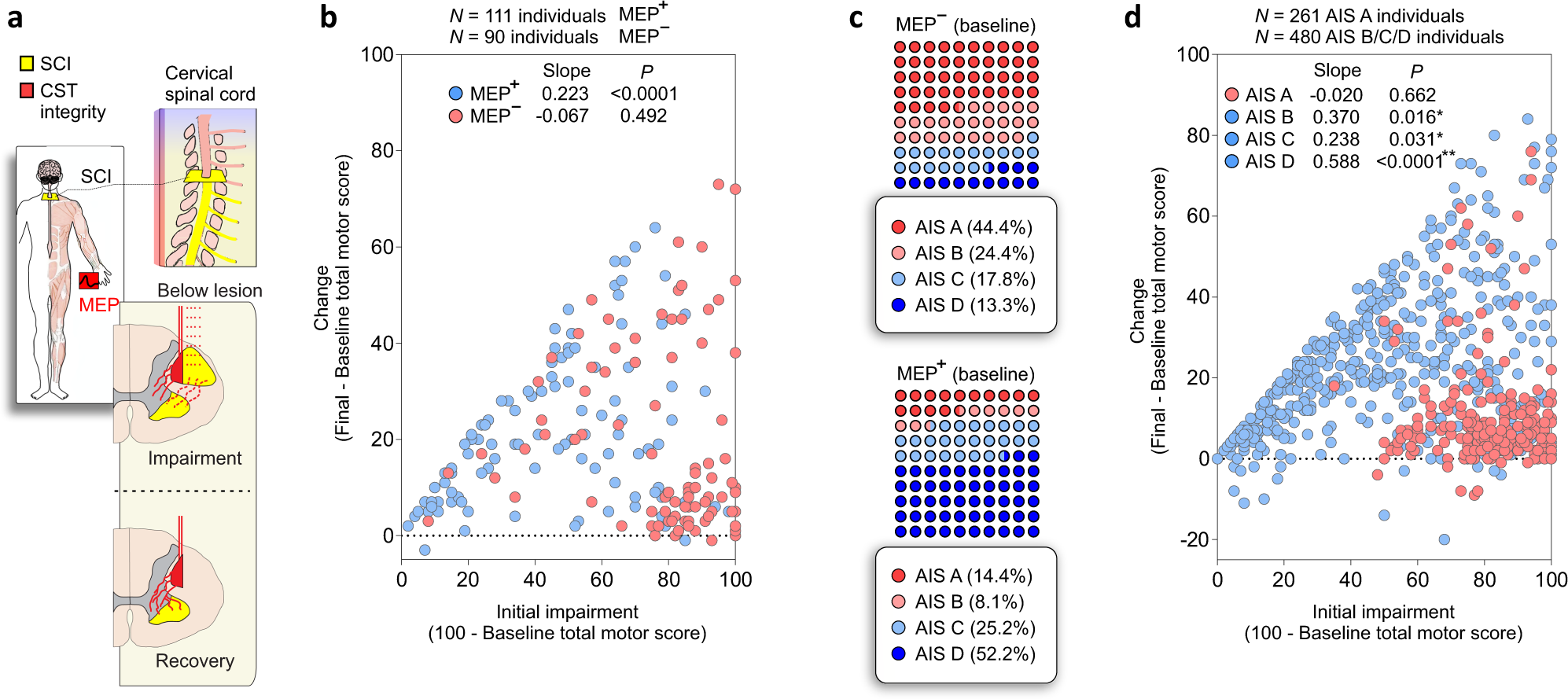 Fig. 8: CST and LMN integrity (as assessed by MEP) indicates impairment and recovery after SCI: individuals classified as AIS A and impaired spinal cord function (CST and LMN integrity) display limited motor recovery.