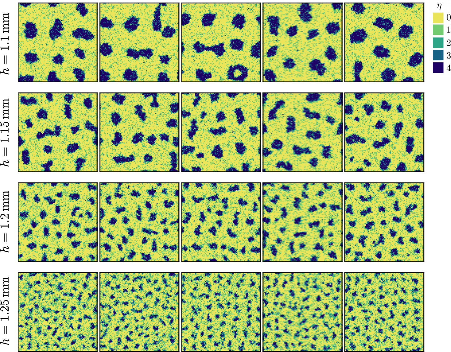 Fig. 5: Aggregates in the cell-based simulations for various film height h.