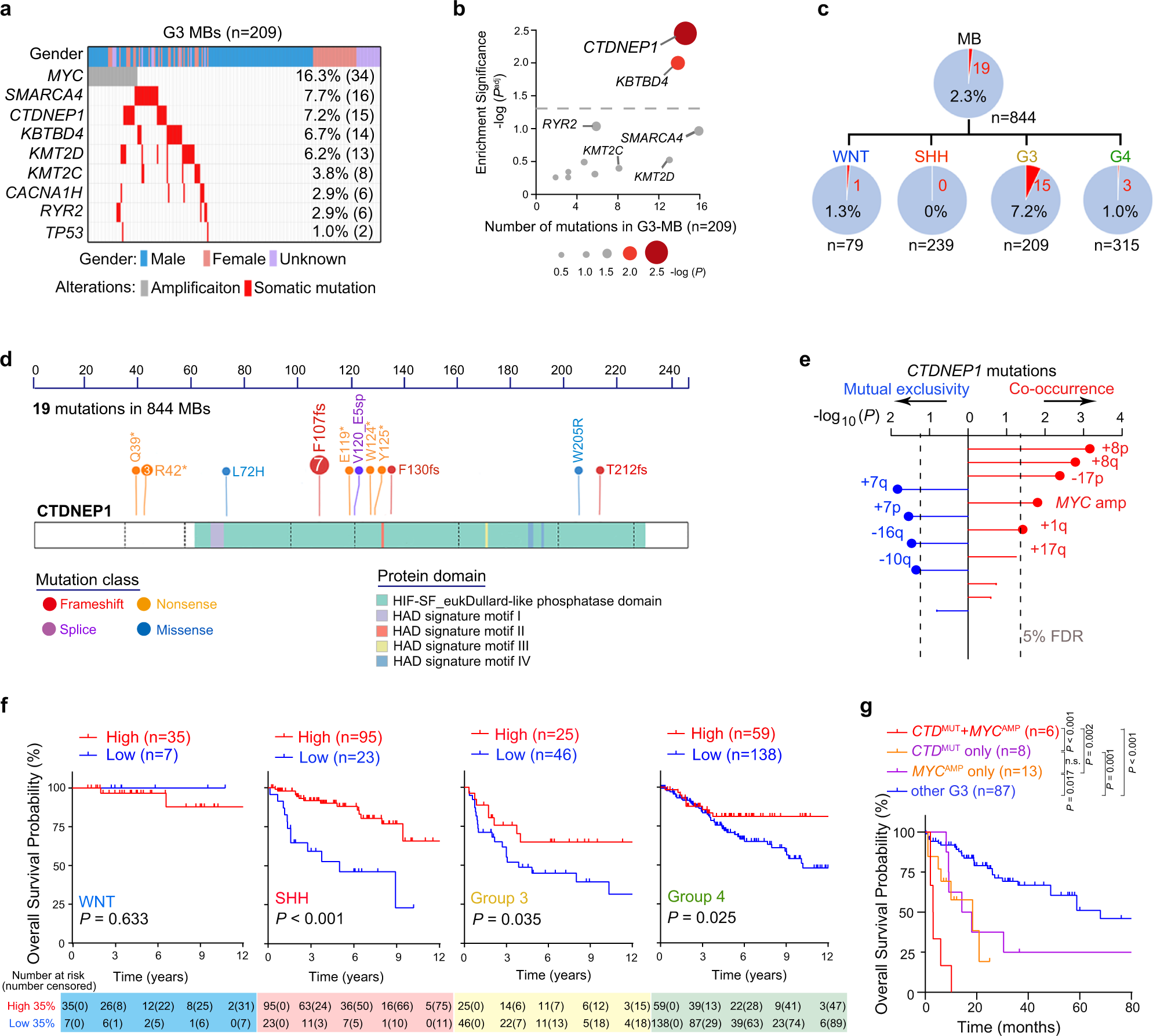 Fig. 1: Prevalence and clinical impact of recurrent mutations of CTDNEP1 in G3 MBs.