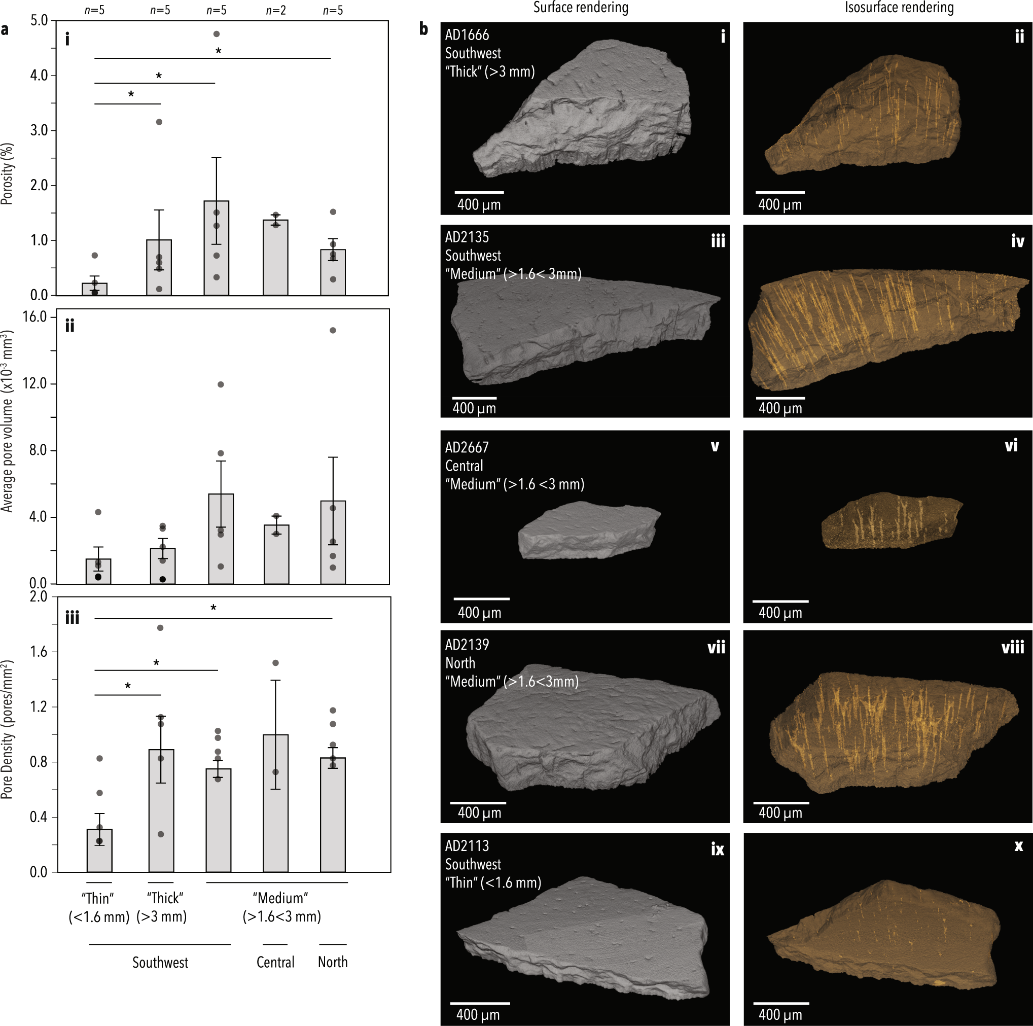Fig. 3: Micro-CT characterisation of eggshell morphotypes.