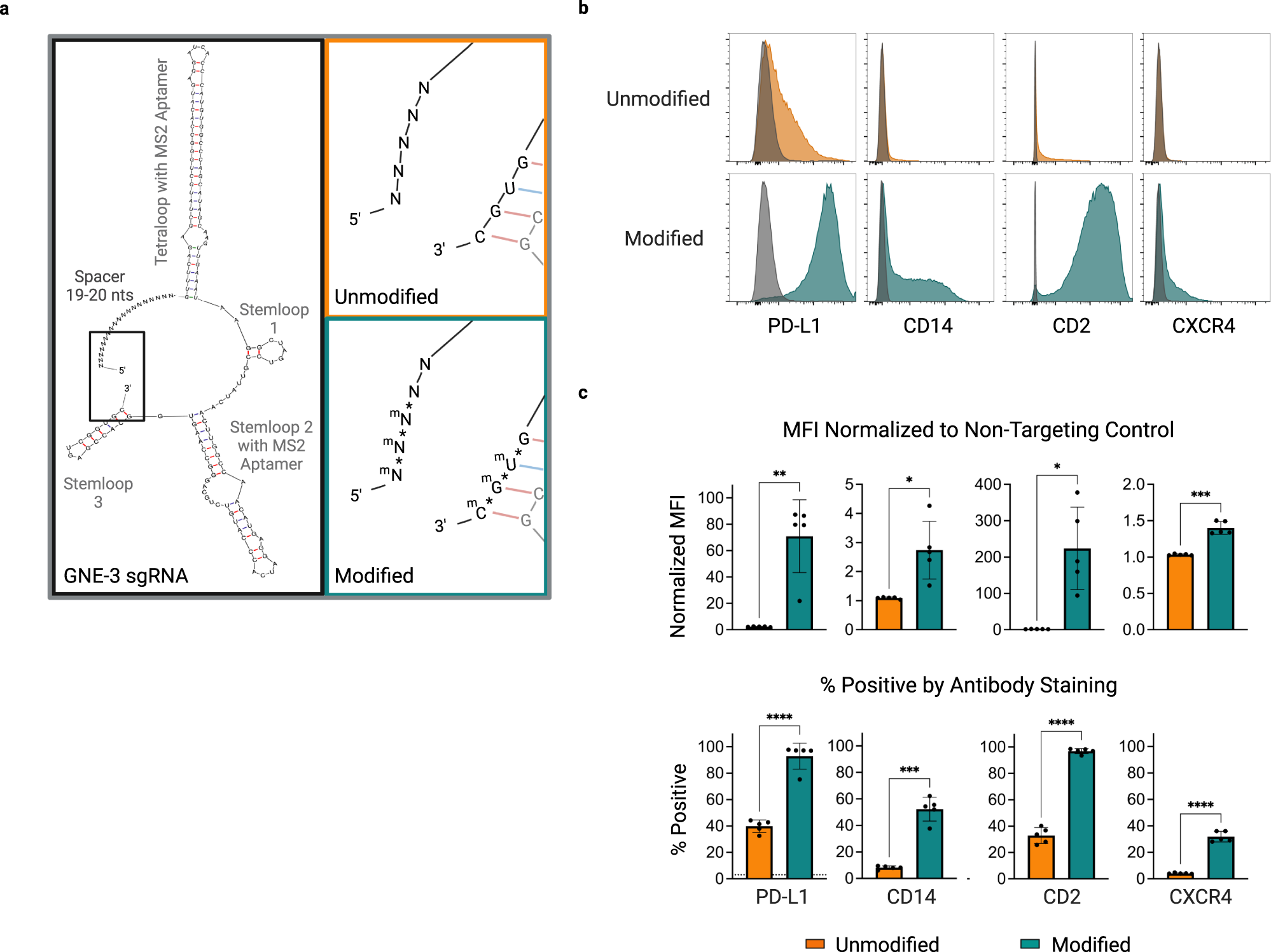 Fig. 4: Chemical modification of synthetic GNE-3 sgRNAs enhances target gene activation.