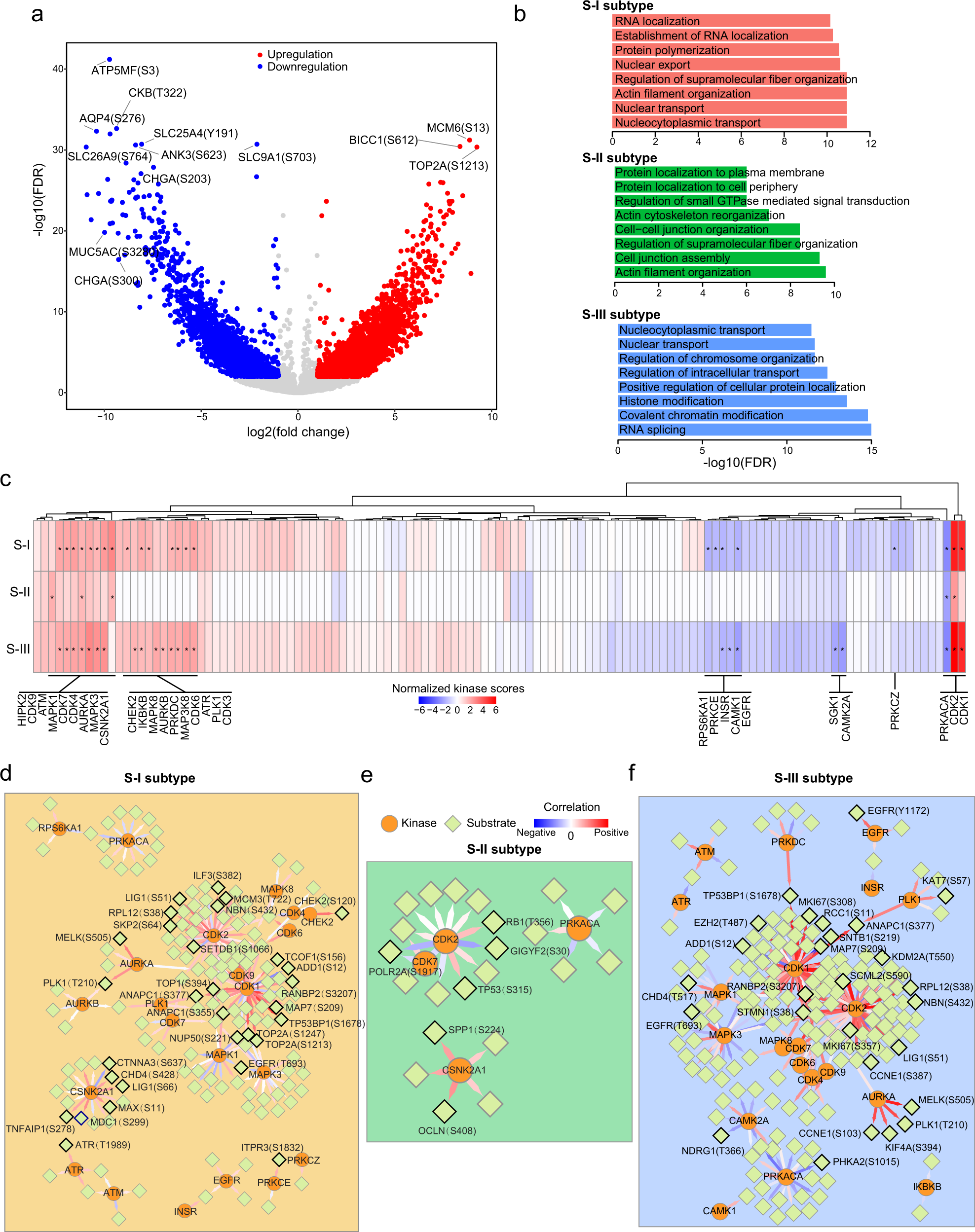 Fig. 7: Phosphoproteomic analyses in three AEG subtypes.
