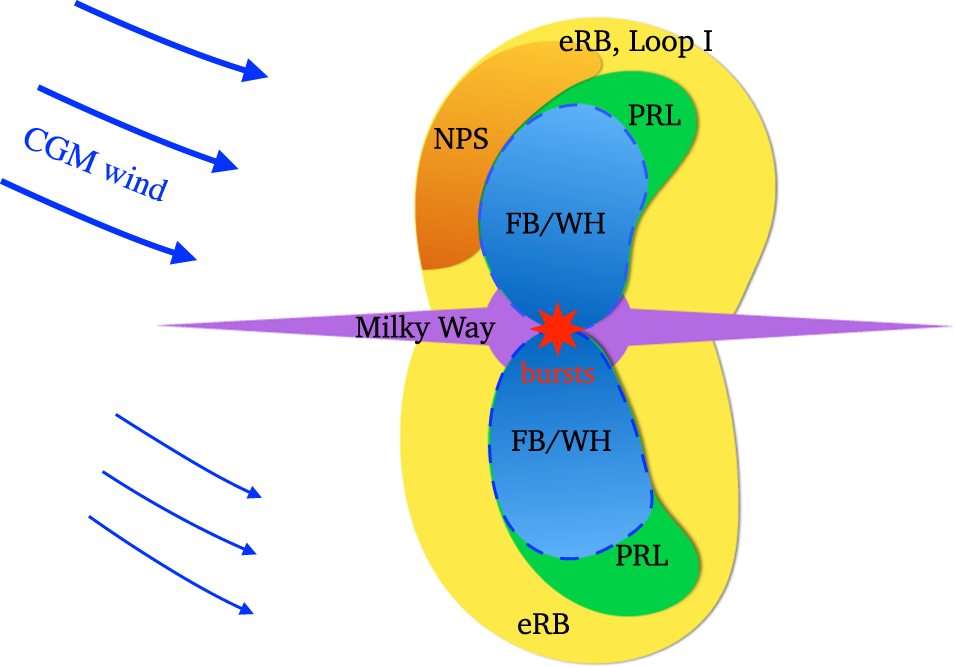 Asymmetric eROSITA bubbles as the evidence of a circumgalactic medium wind  | Nature Communications