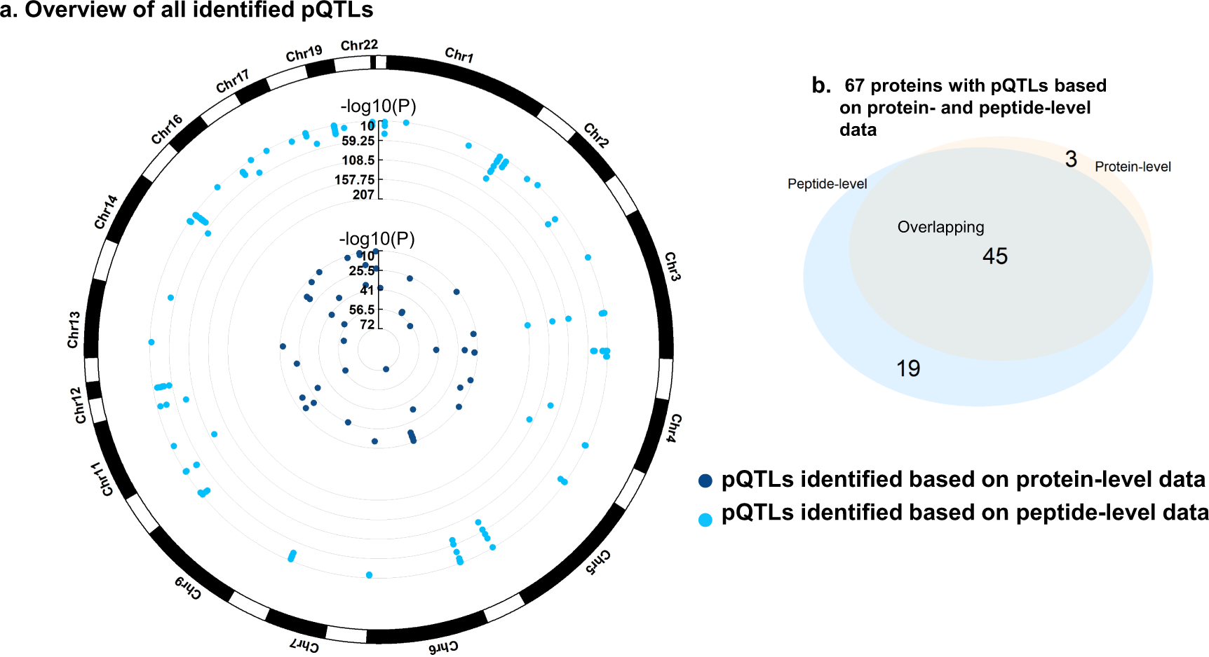Fig. 4: Genomic atlas of all identified pQTLs.