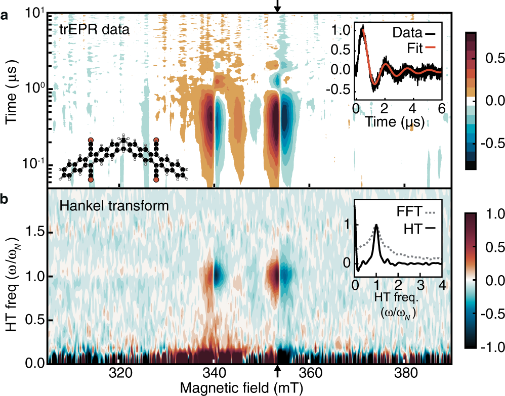 Entangled spin-polarized excitons from singlet fission in a rigid dimer |  Nature Communications