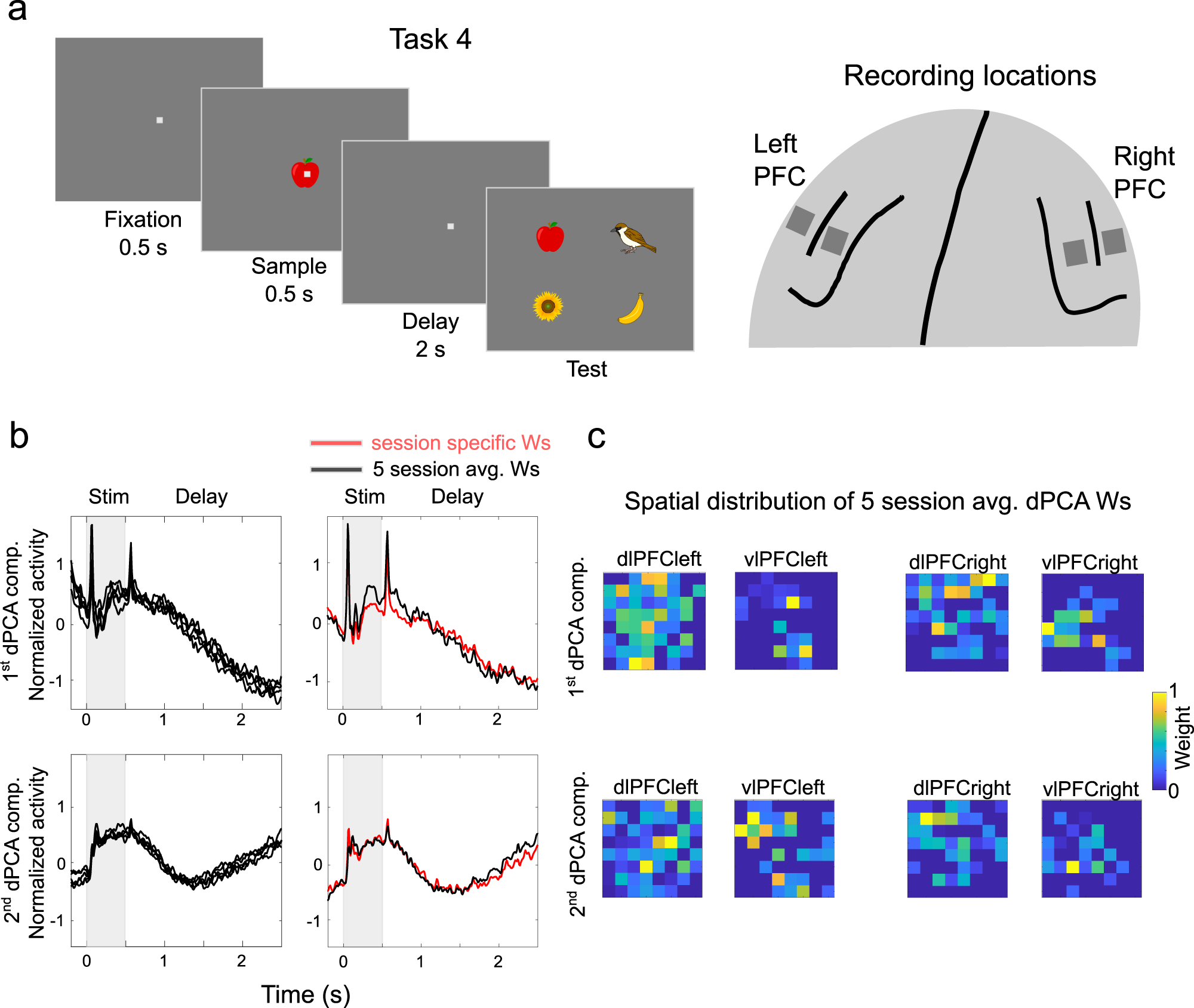 Fig. 4: Spatial patterns of control-related activity in a delay-match-to-sample task.