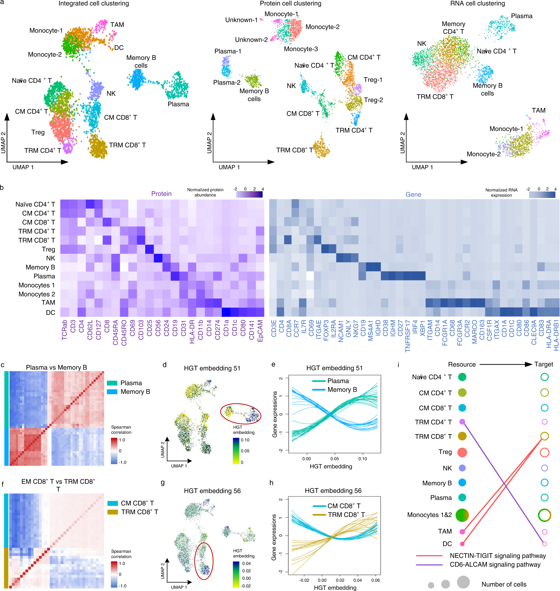 Fig. 4: DeepMAPS identification of heterogeneity in CITE-seq data of PBMC and lung tumor leukocytes.