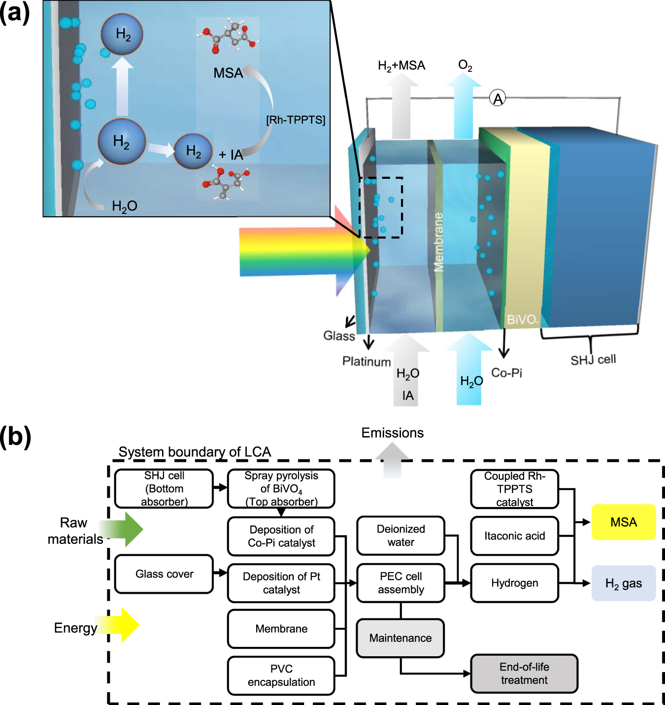 Schematic energetics diagram for the O N 2 O and NNO 2 reactions