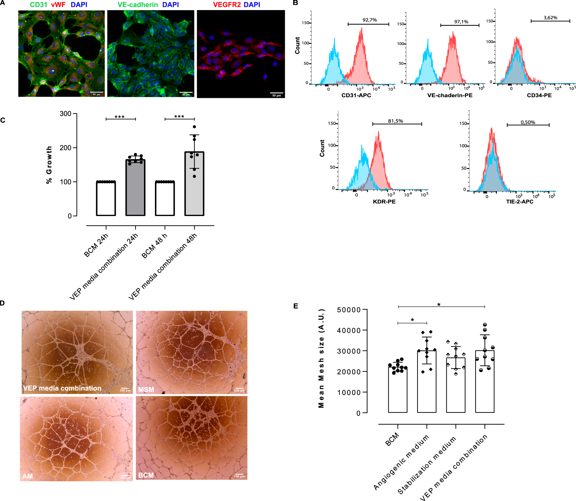 Fig. 1: BOEC functional characterization for VEPs assembly.