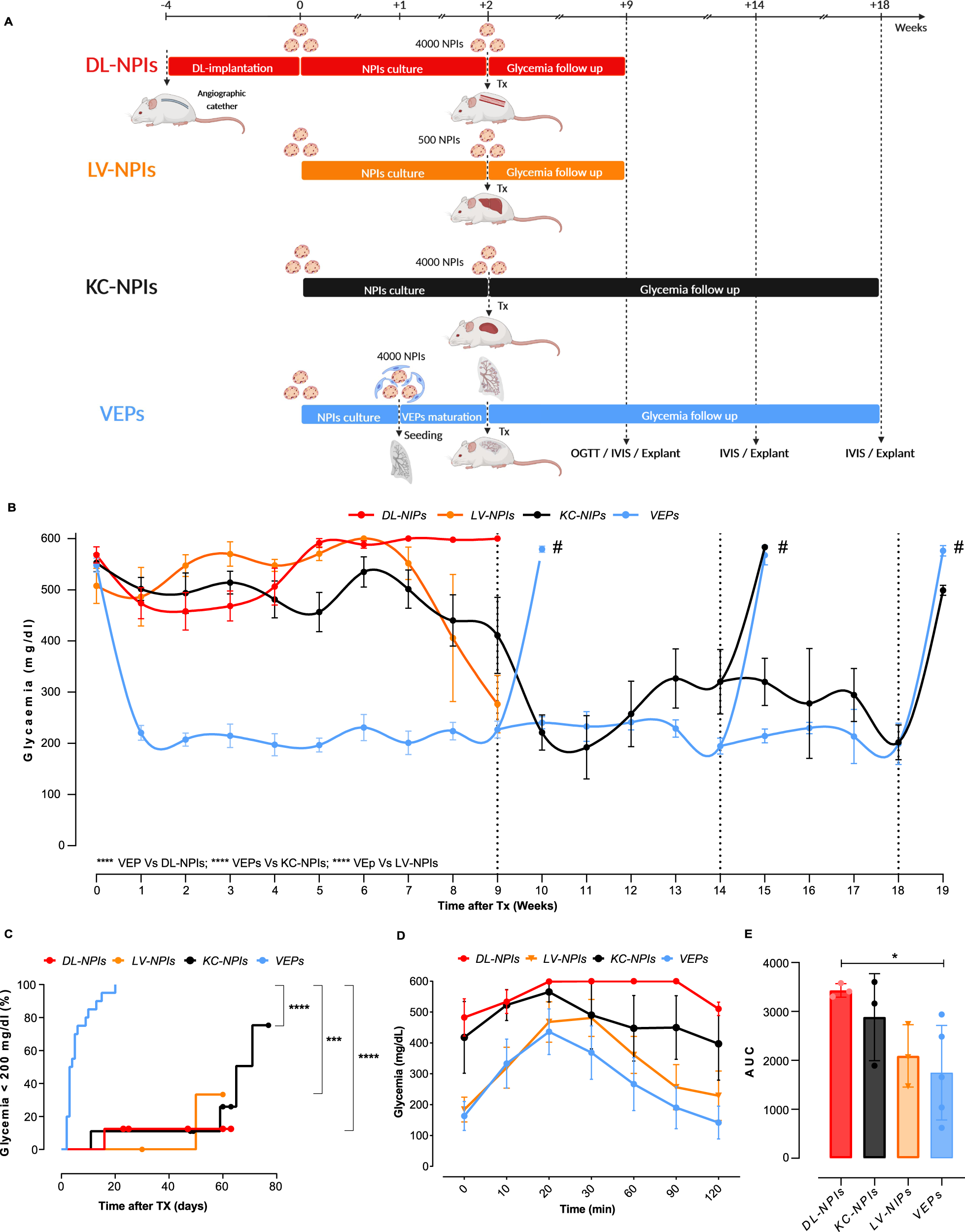 Fig. 4: Long-term in vivo performance of VEPs.