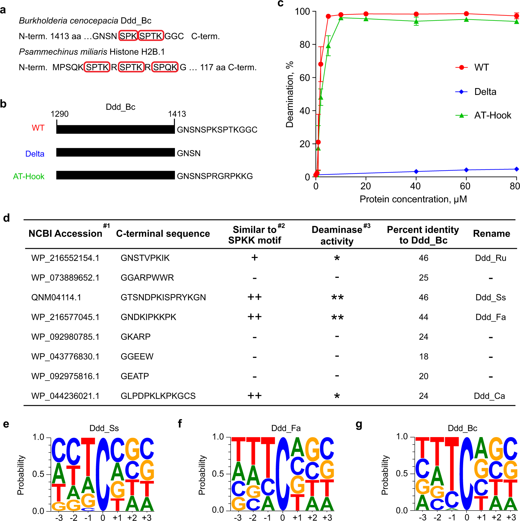 Fig. 1: SPKK-related motifs help identify Ddd_Bc homologs with dsDNA deaminase activity.